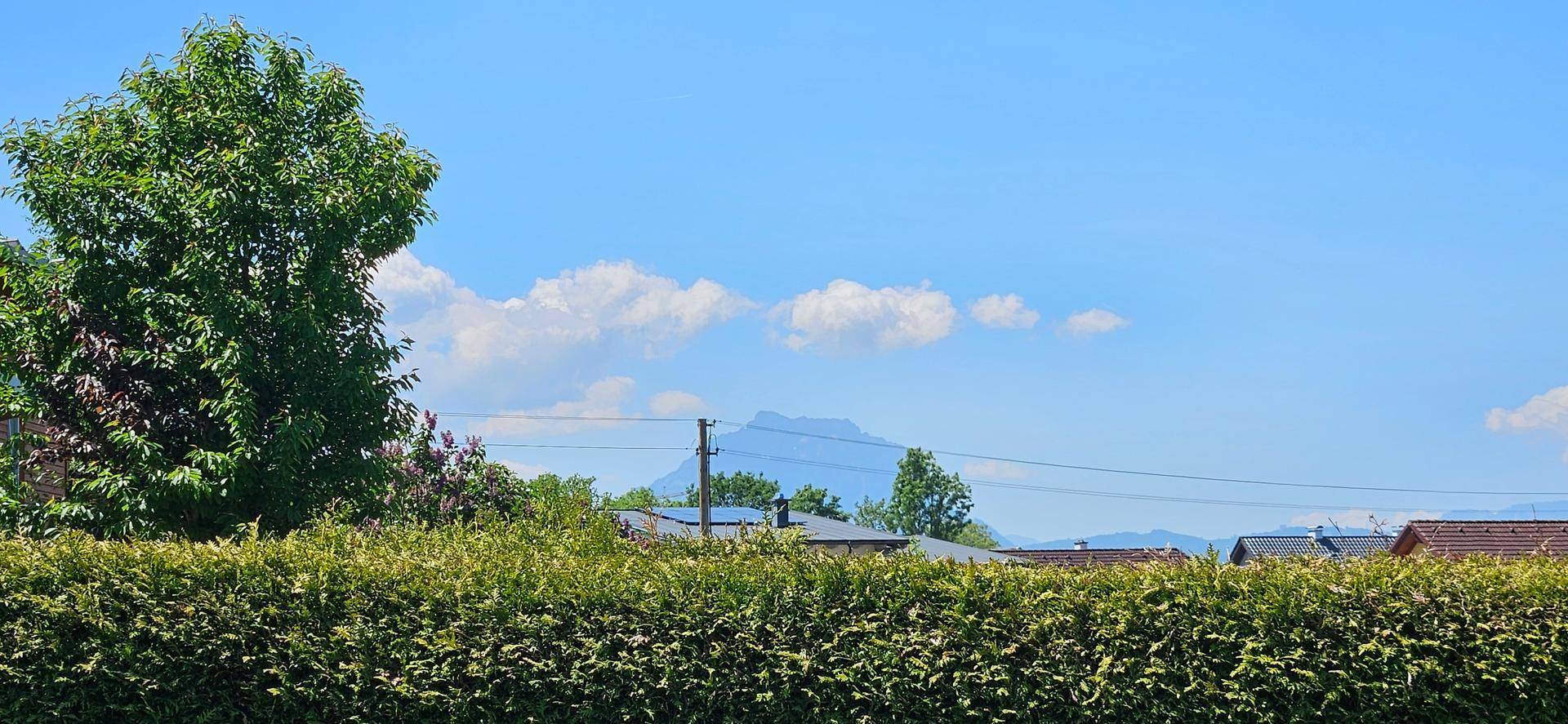 Weitblick über eine grüne Hecke auf eine Berglandschaft unter blauem Himmel.