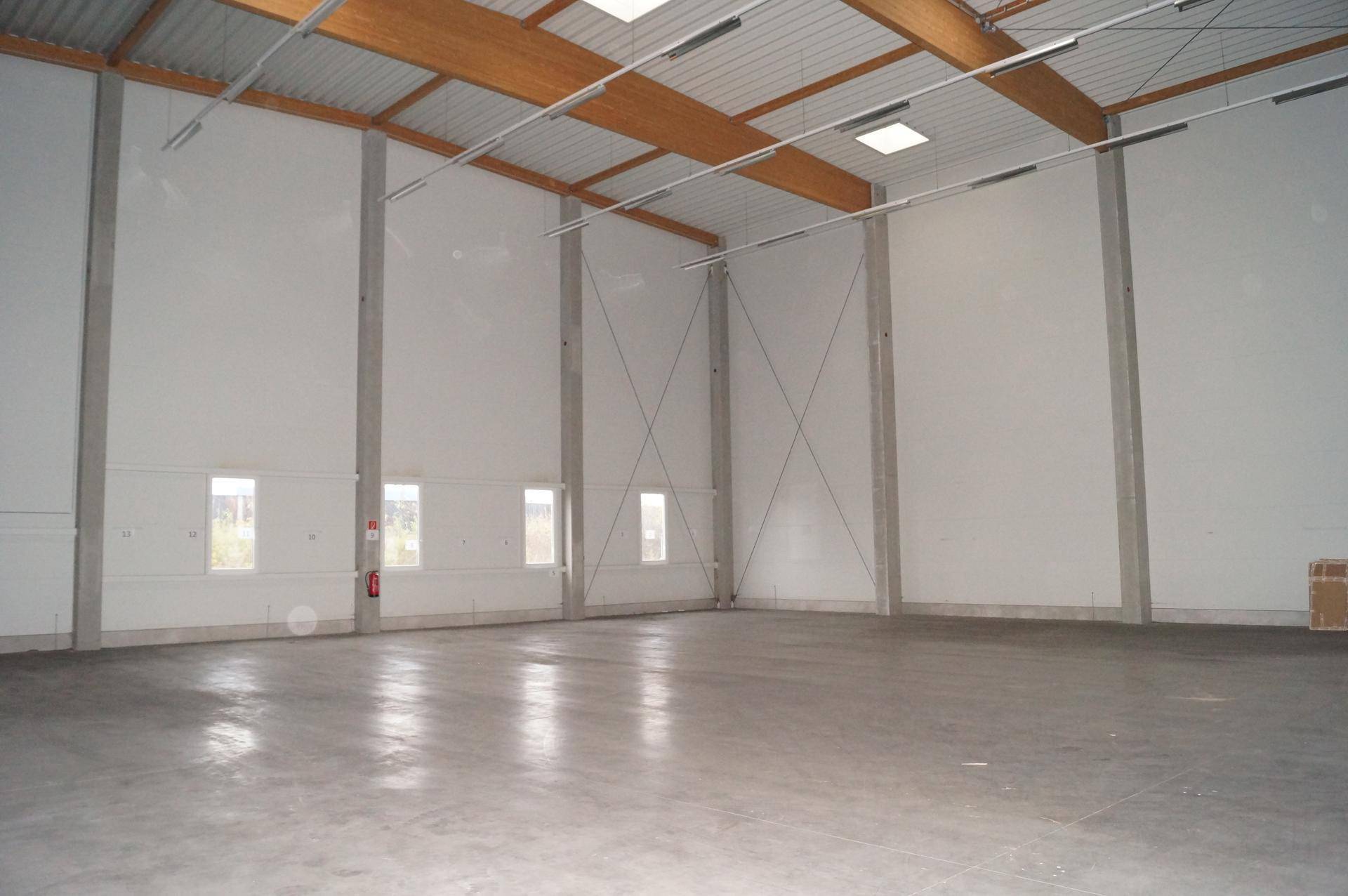 Weitläufige Lagerhalle mit hohen Decken, Holzbalken und Oberlichtern, viel Tageslicht.