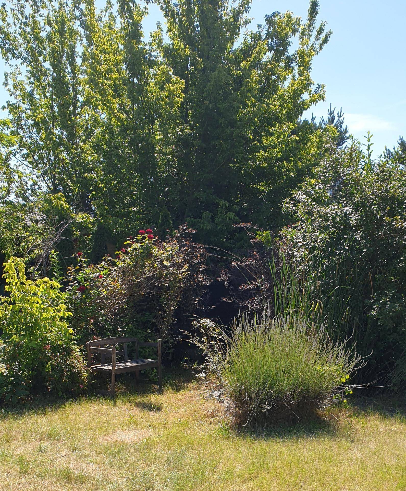 Ruhiges, gepflegtes Baugrundstück mit 726 m² in Gänserndorf sofort verfügbar – pohled 4