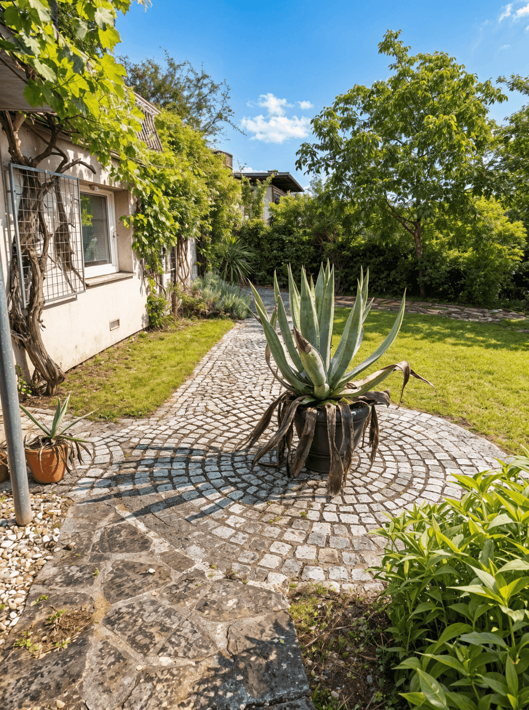 Steinweg im Garten mit einer großen Agavenpflanze in einem Topf als dekoratives Element.