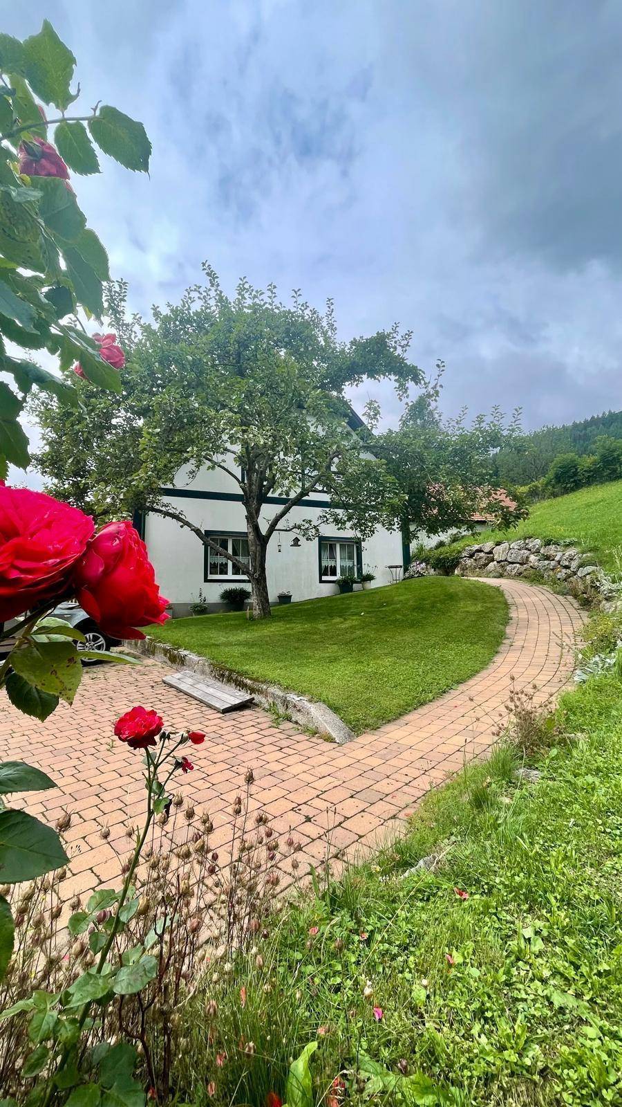 Charmantes Einfamilienhaus mit gepflegtem Garten und blühenden Rosen, umgeben von grüner Landschaft.