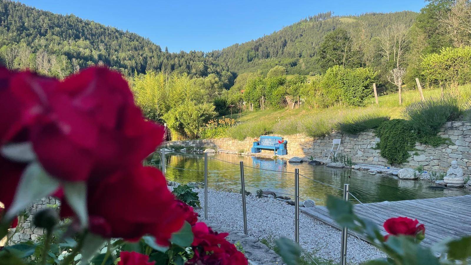 Romantischer Blick durch rote Rosen auf den Schwimmteich und die grüne Berglandschaft.