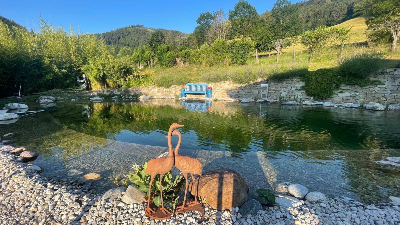 Idyllischer Schwimmteich mit blauer Gartenbank und weitem Blick auf die umliegende Berglandschaft.