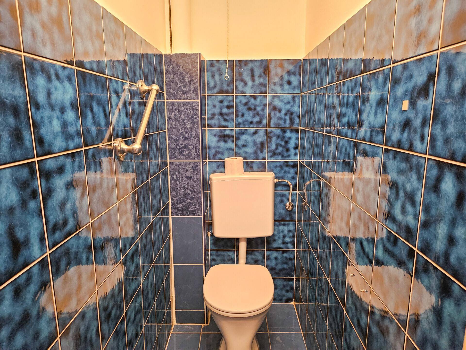 Separate Toilette mit blauen Fliesen und einer Haltestange für zusätzliche Sicherheit.