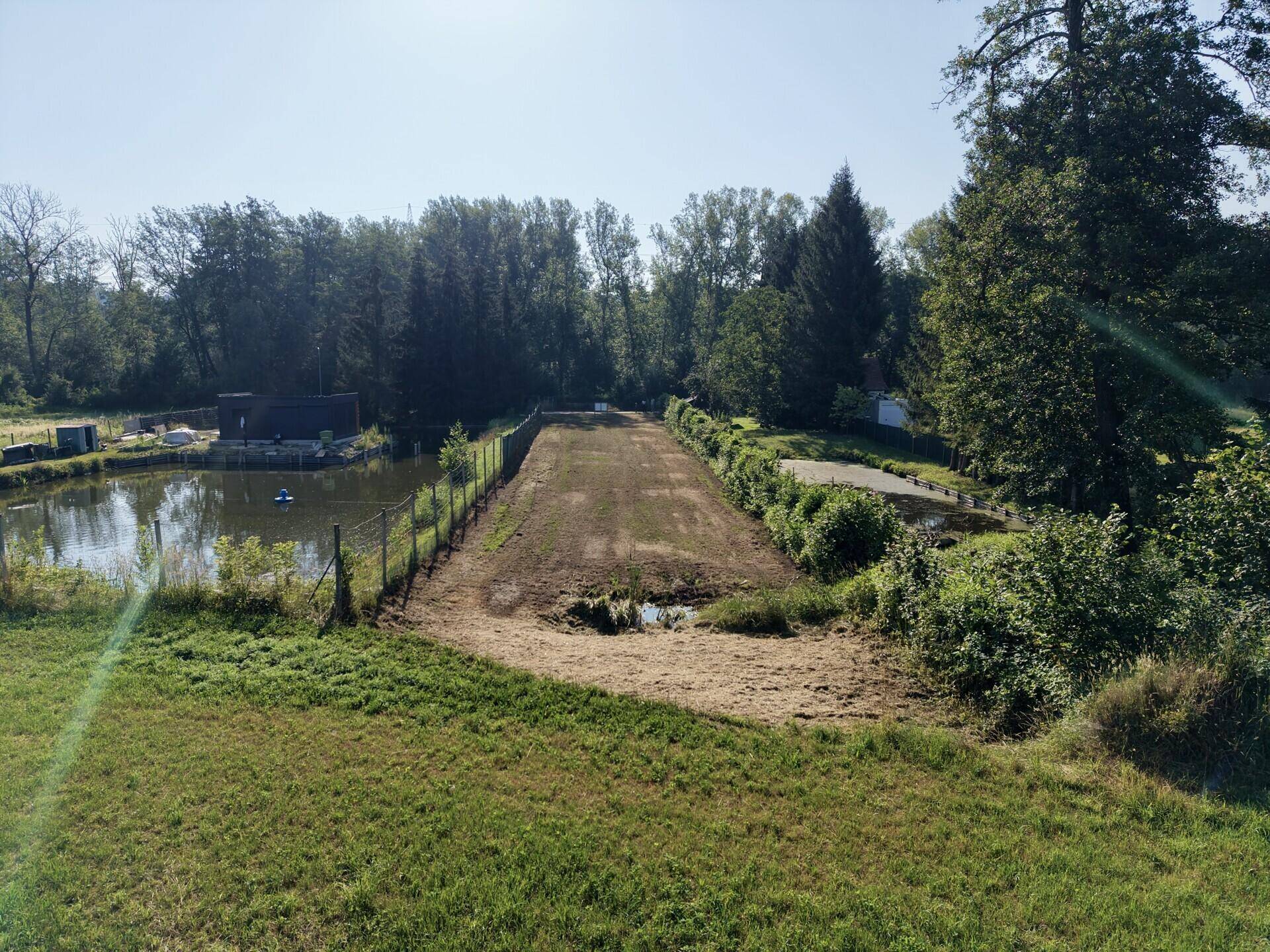 Weitläufiger Blick über einen Teich und einen gerodeten Bereich, umgeben von dichter Vegetation.