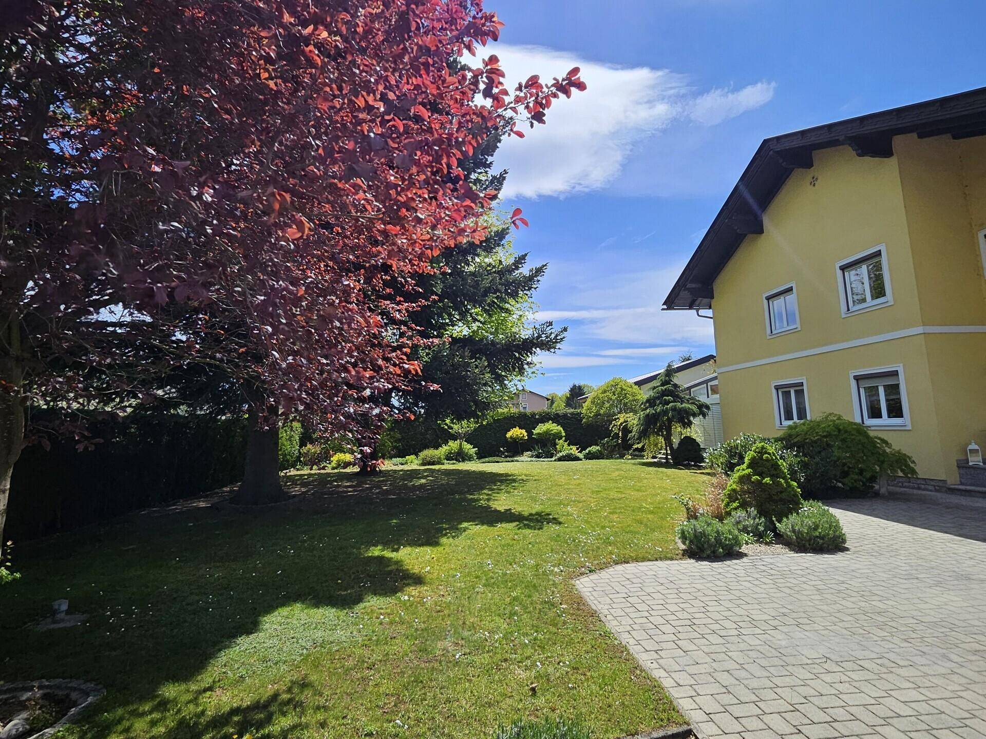 Sonniger Gartenbereich mit Rasen, Bäumen und gepflasterter Einfahrt zum Haus.
