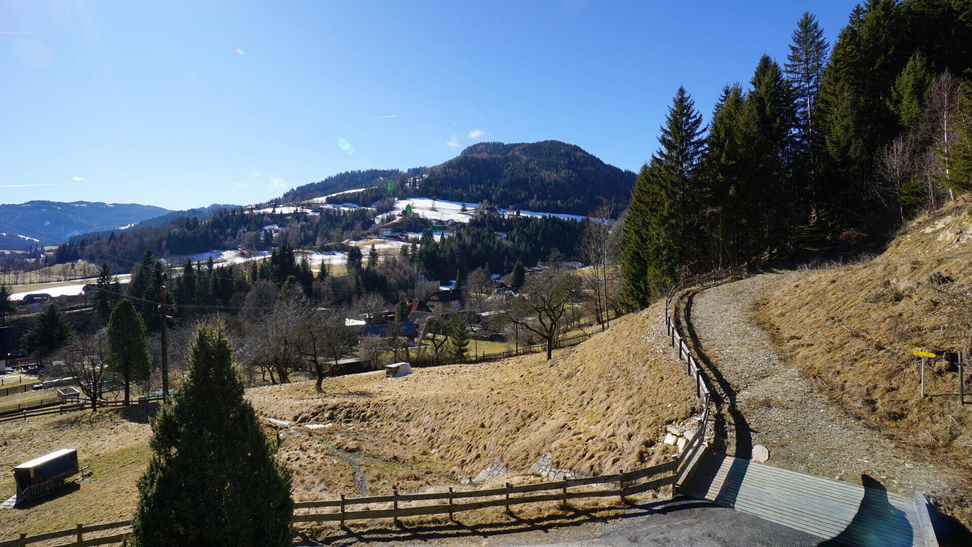 Balkon mit Panoramablick auf die bewaldeten Berge und das sonnige Tal.
