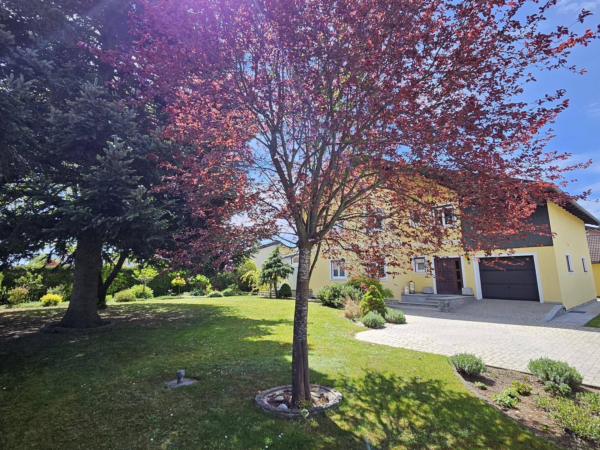 Wo Lebensqualität beginnt - Einfamilienhaus in begehrter &amp; sonniger Lage mit großem Garten! - Ansicht 3