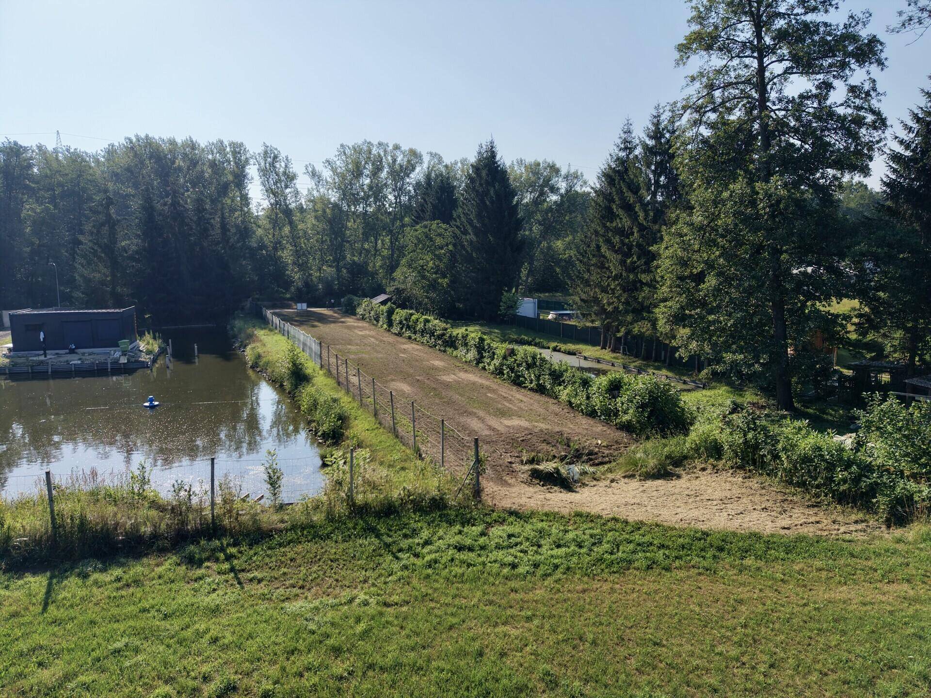 Blick auf einen Teich mit angrenzendem, vorbereitetem Grundstücksstreifen und Waldrand.