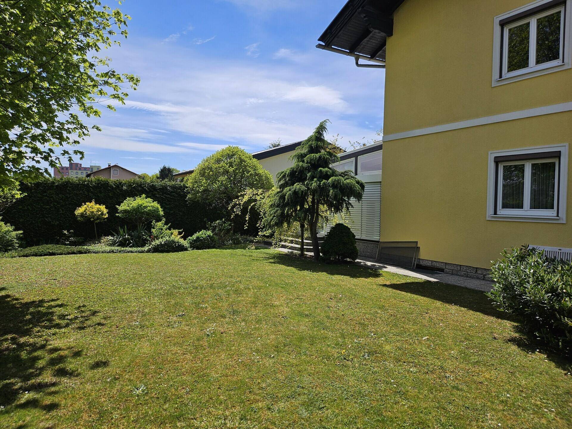 Sonniger Garten mit Rasenfläche, Hecken und Blick auf die Hausfassade.
