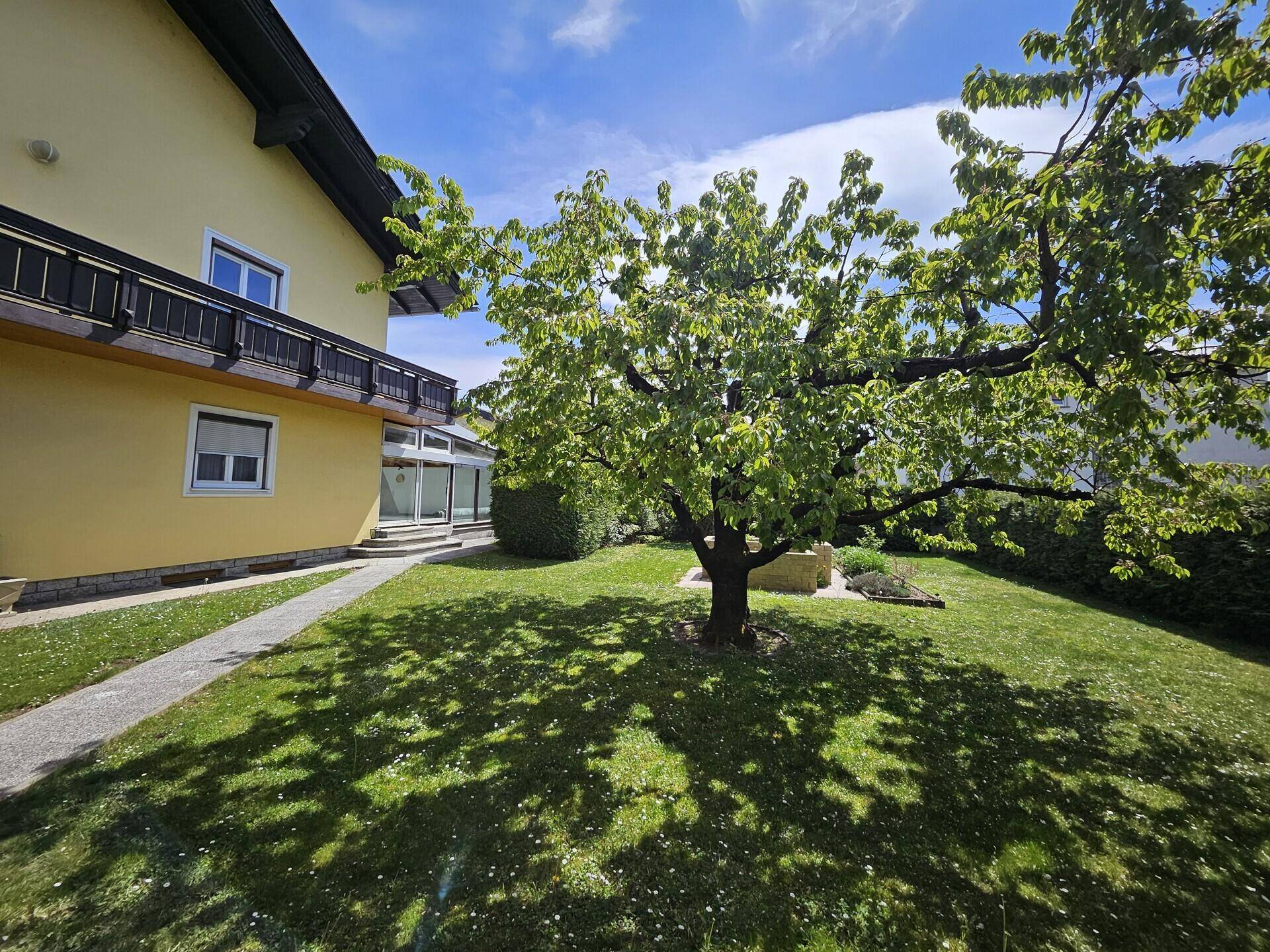 Großer Garten mit altem Baum, Rasenfläche und Zugang zum Wintergarten.