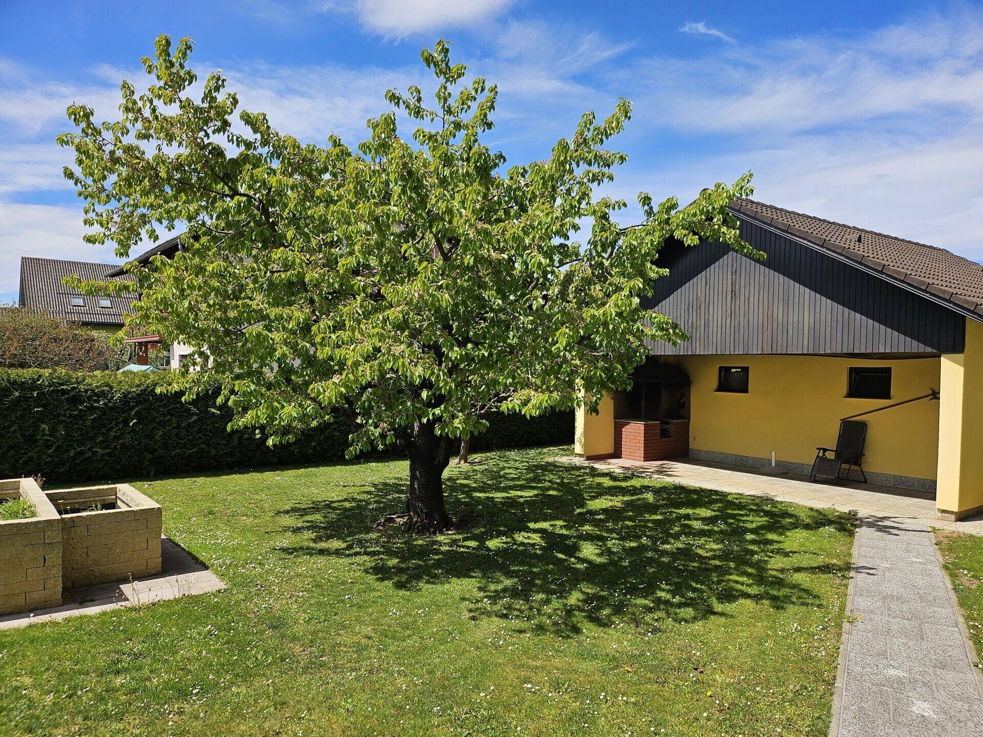 Gepflegter Garten mit Rasenfläche, großem Baum und gemauertem Grillplatz.
