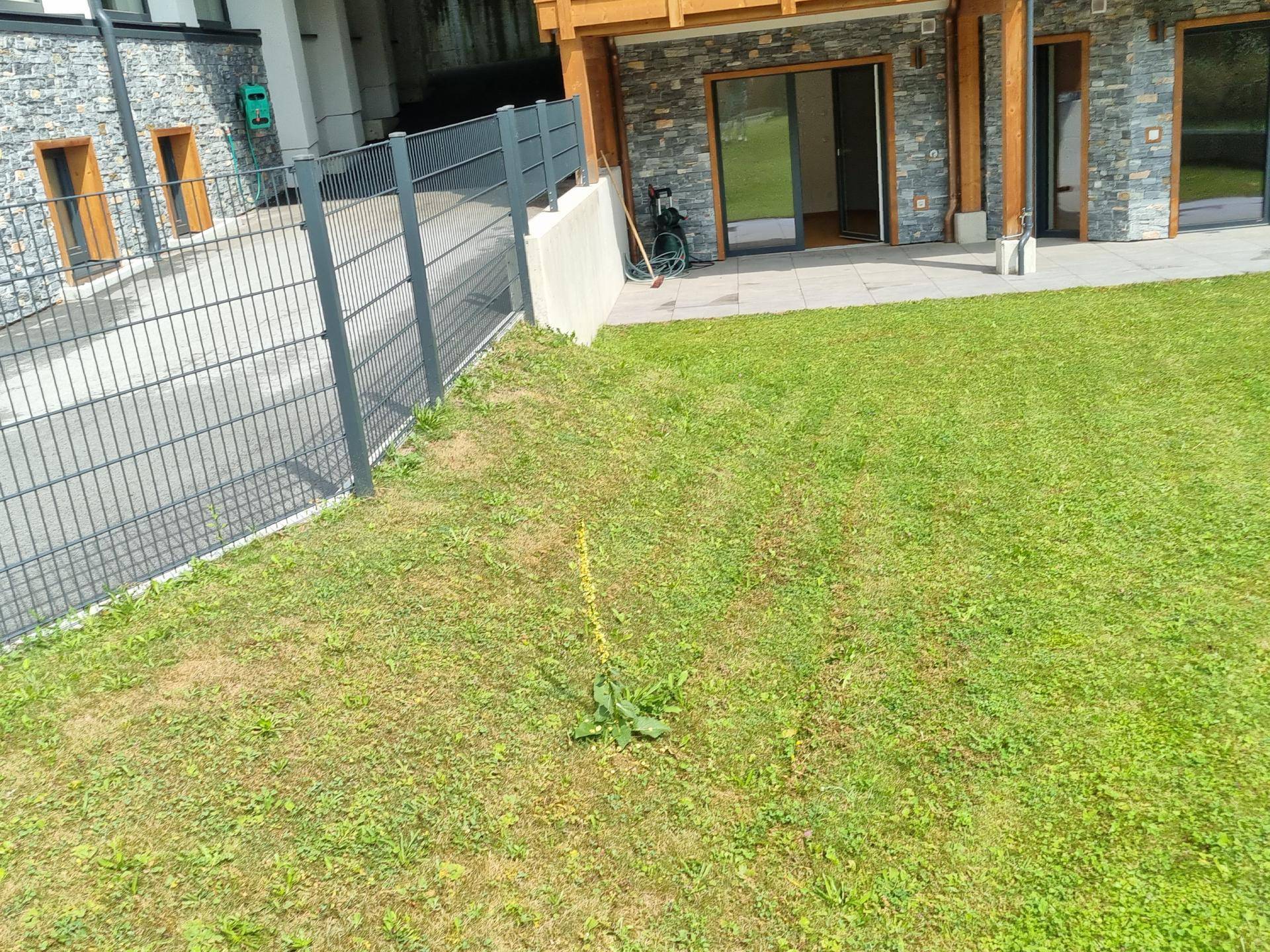 Grüne Rasenfläche neben dem Gebäude mit Zaun und angrenzender Terrasse.