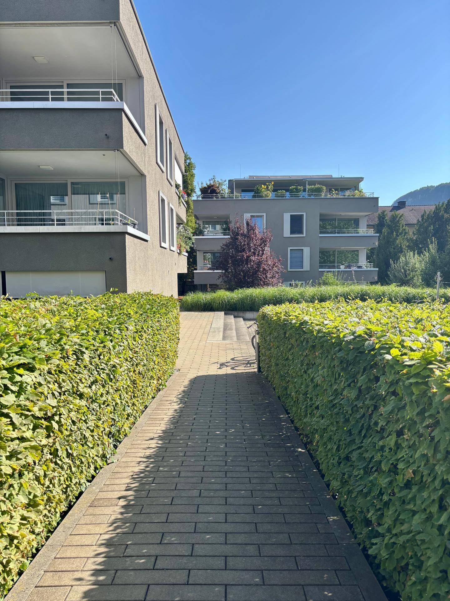 Gepflasterter Weg zwischen modernen Wohngebäuden mit gepflegten Hecken und Grünflächen.