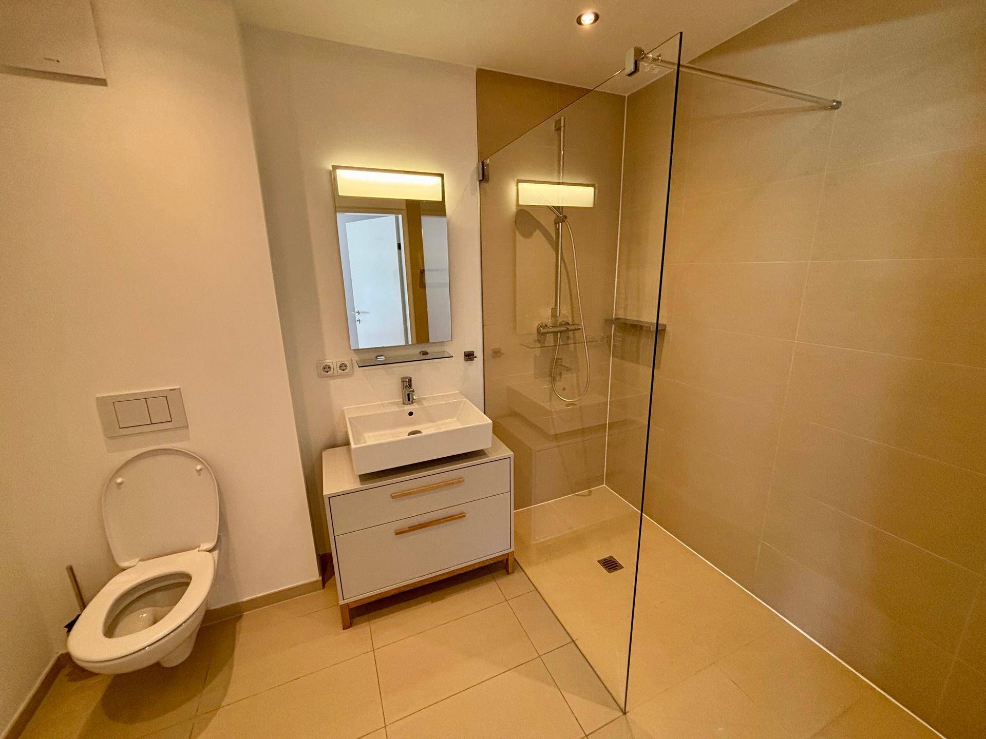 Modernes Badezimmer mit begehbarer Dusche, Wand-WC und einem einzelnen Waschbecken.