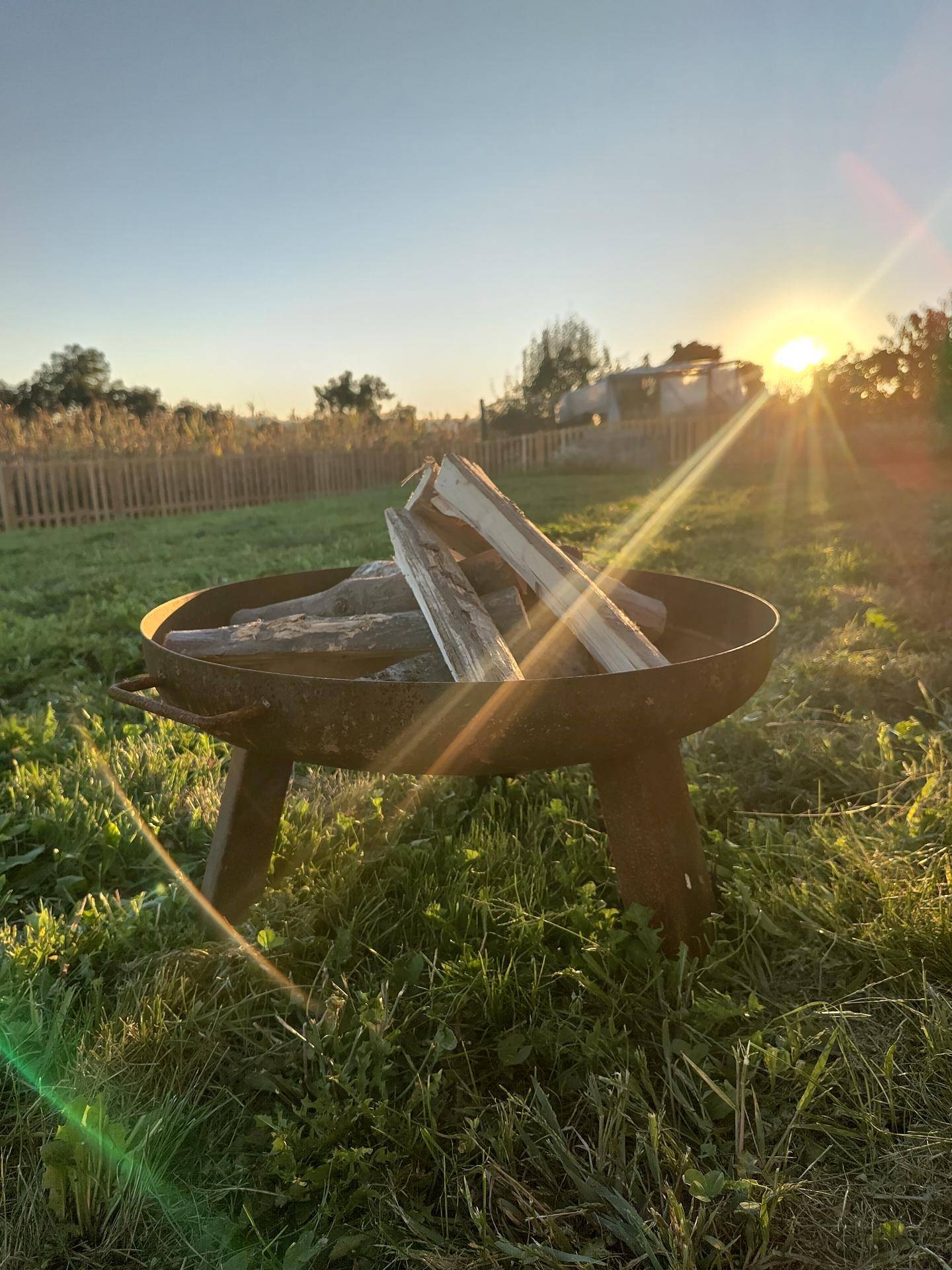 Feuerschale mit Holzscheiten in der Wiese, bereit für gemütliche Abende im Garten bei Sonnenuntergang.