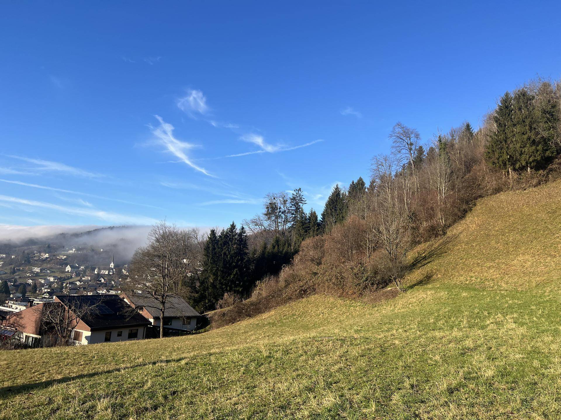 Baugrundstück in Weiler – privilegiertes Wohnen mit Weitblick - Ansicht 2