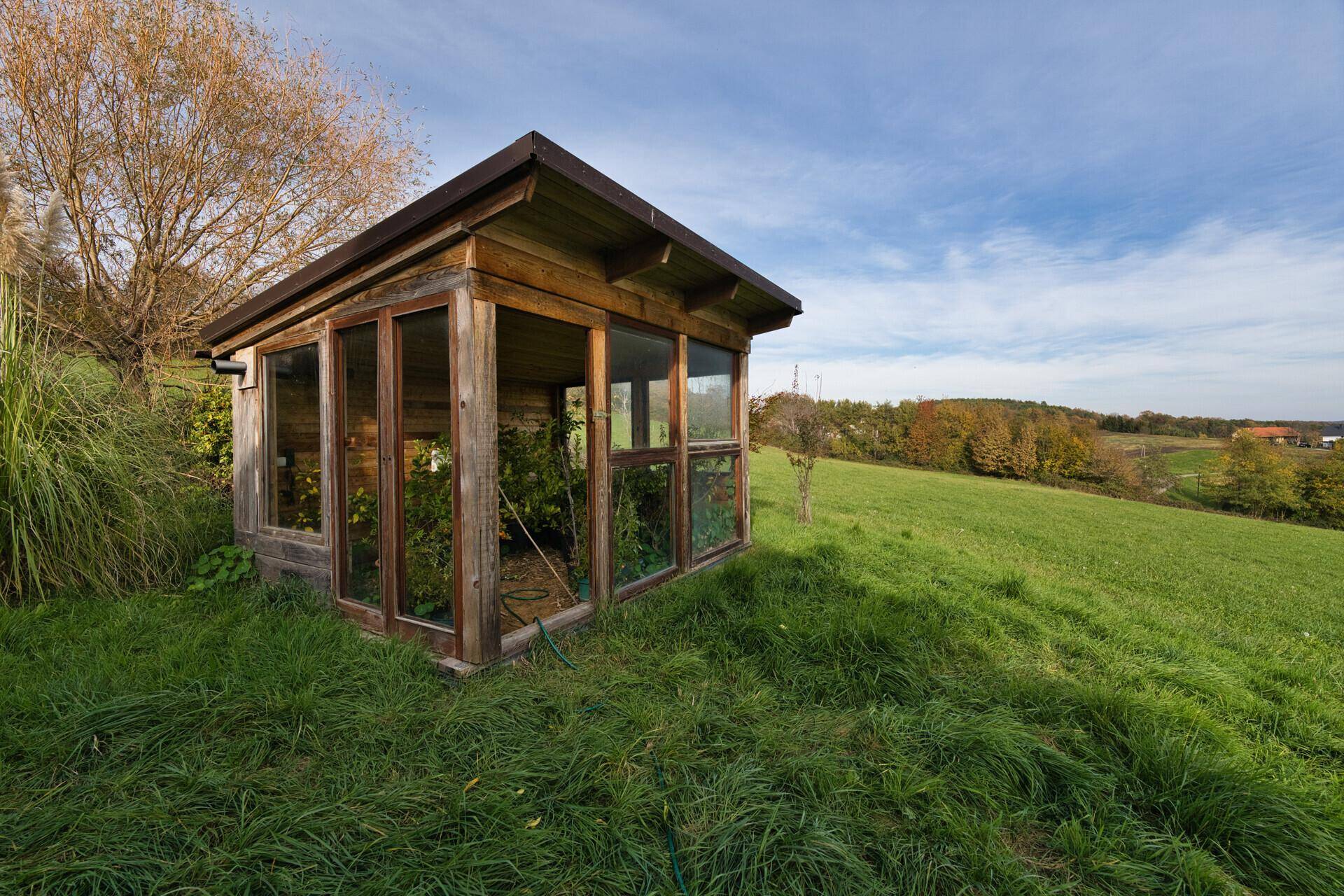 Kleines Holzgewächshaus auf einer grünen Wiese, umgeben von ländlicher Natur und Bäumen.