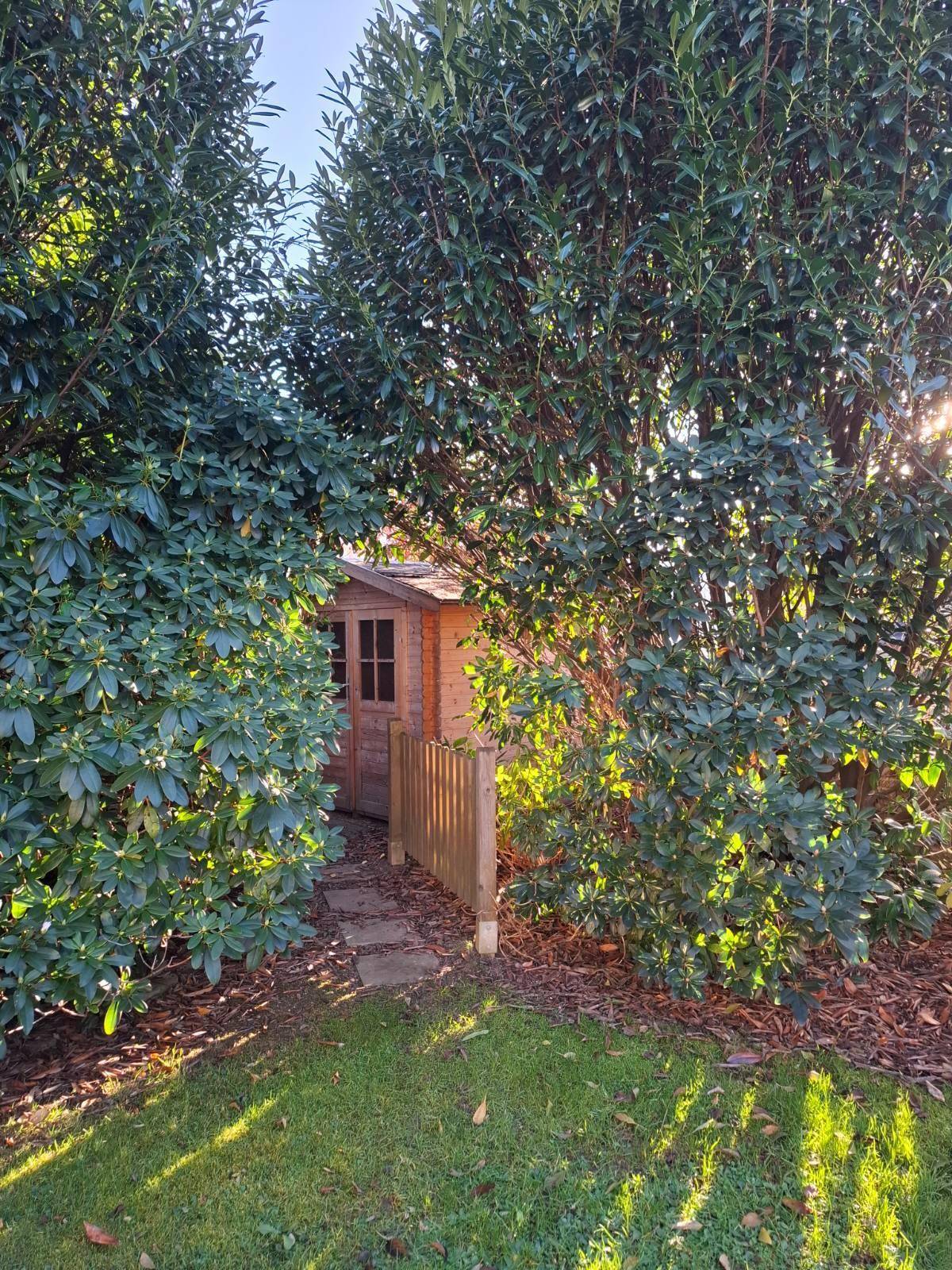 Kleiner Holzschuppen versteckt zwischen dichten grünen Büschen und Bäumen im Garten.