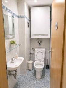 Separates WC mit Toilette, kleinem Waschbecken und einem Hängeschrank für zusätzlichen Stauraum.