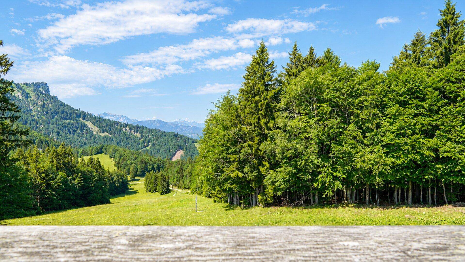 Malerische Berglandschaft mit grünen Wiesen, dichten Wäldern und einem weiten Himmel.