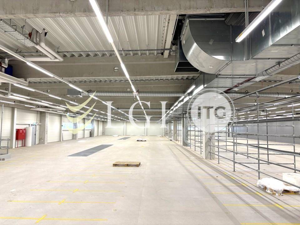 Weitläufige Lagerhalle mit hoher Decke, Betonboden und sichtbaren Lüftungsrohren sowie effizienter Beleuchtung.