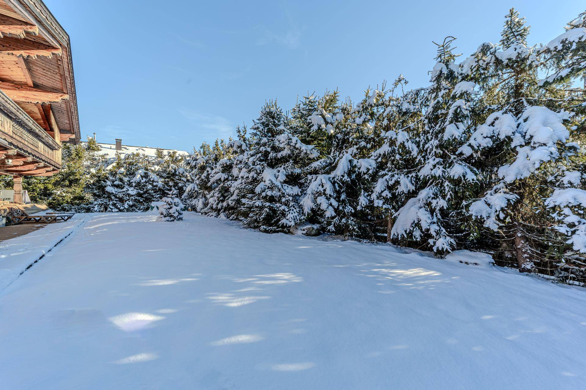Schneebedeckter Gartenbereich mit hohen Nadelbäumen und klarem Winterhimmel.