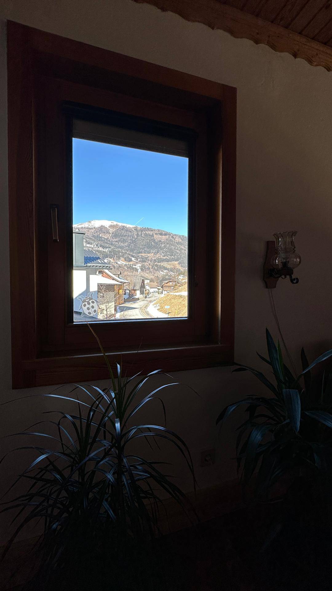 Fenster mit Bergblick und grünen Pflanzen, die den Raum beleben.
