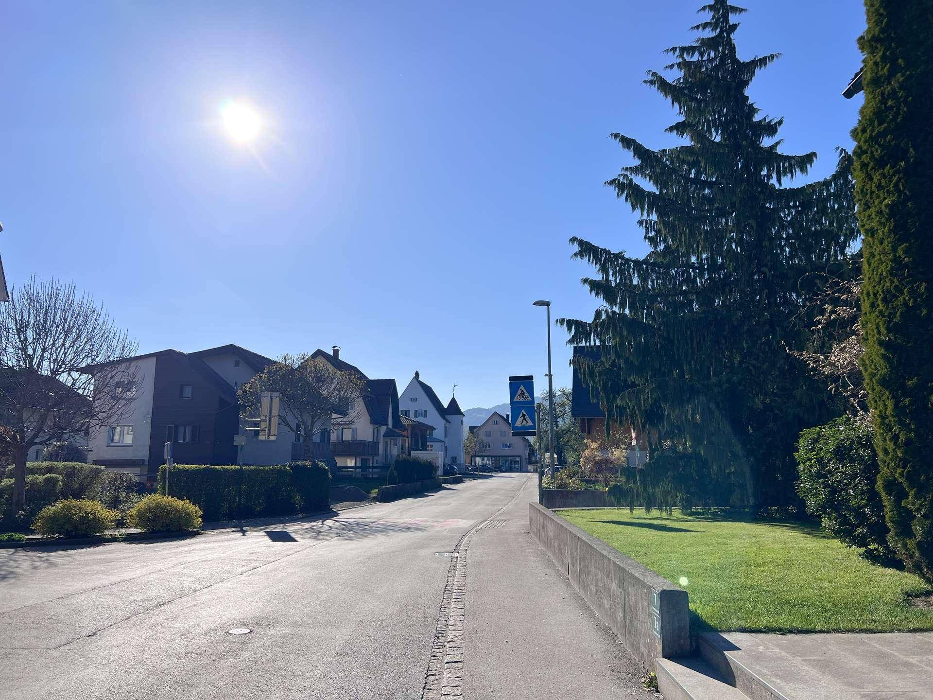 Sonnige Wohnstraße mit Häusern, Bäumen und Blick auf die Berge im Hintergrund.