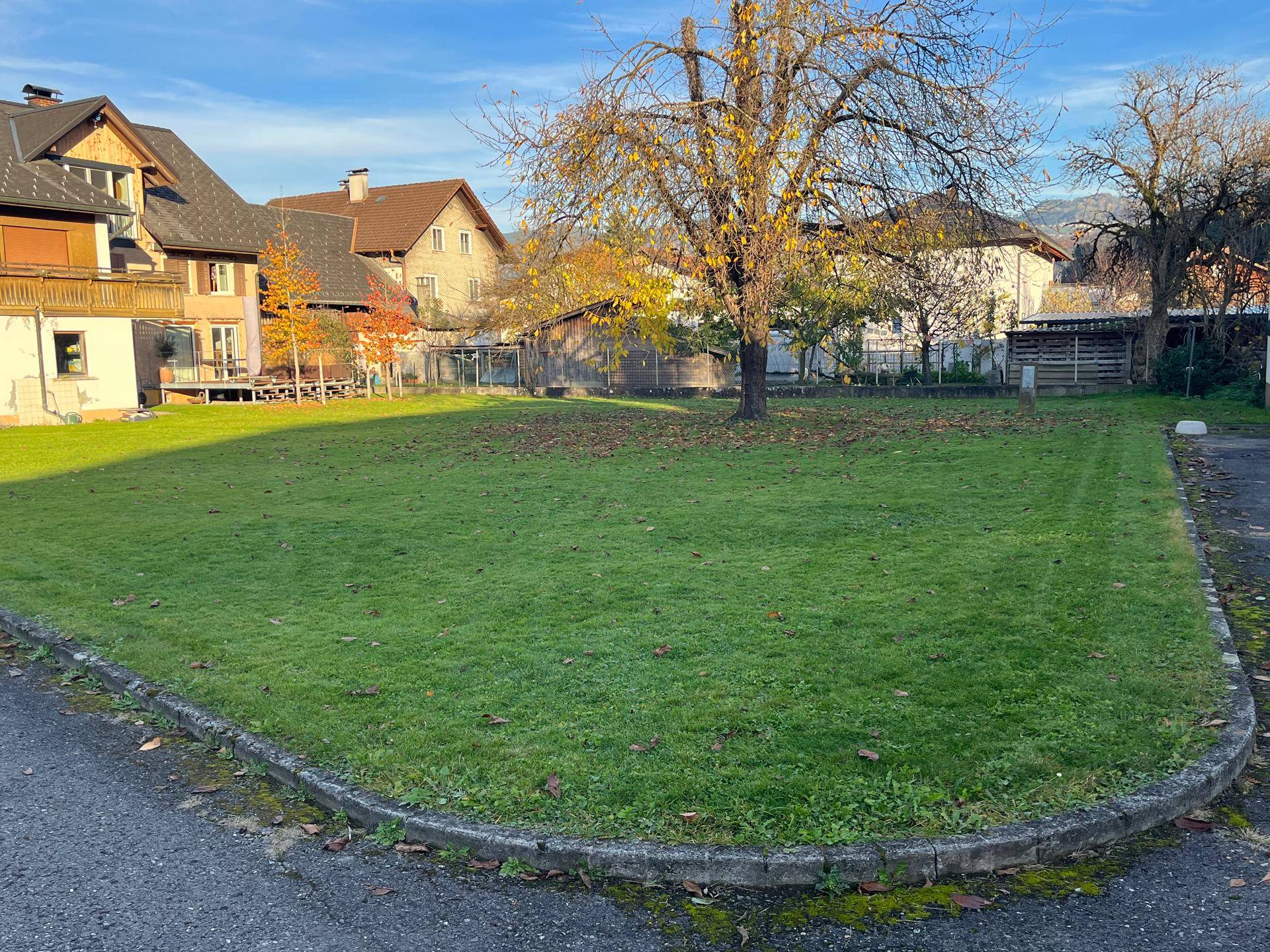 Gepflegte Rasenfläche mit Herbstbaum und Blick auf die angrenzenden Gebäude in sonniger Lage.