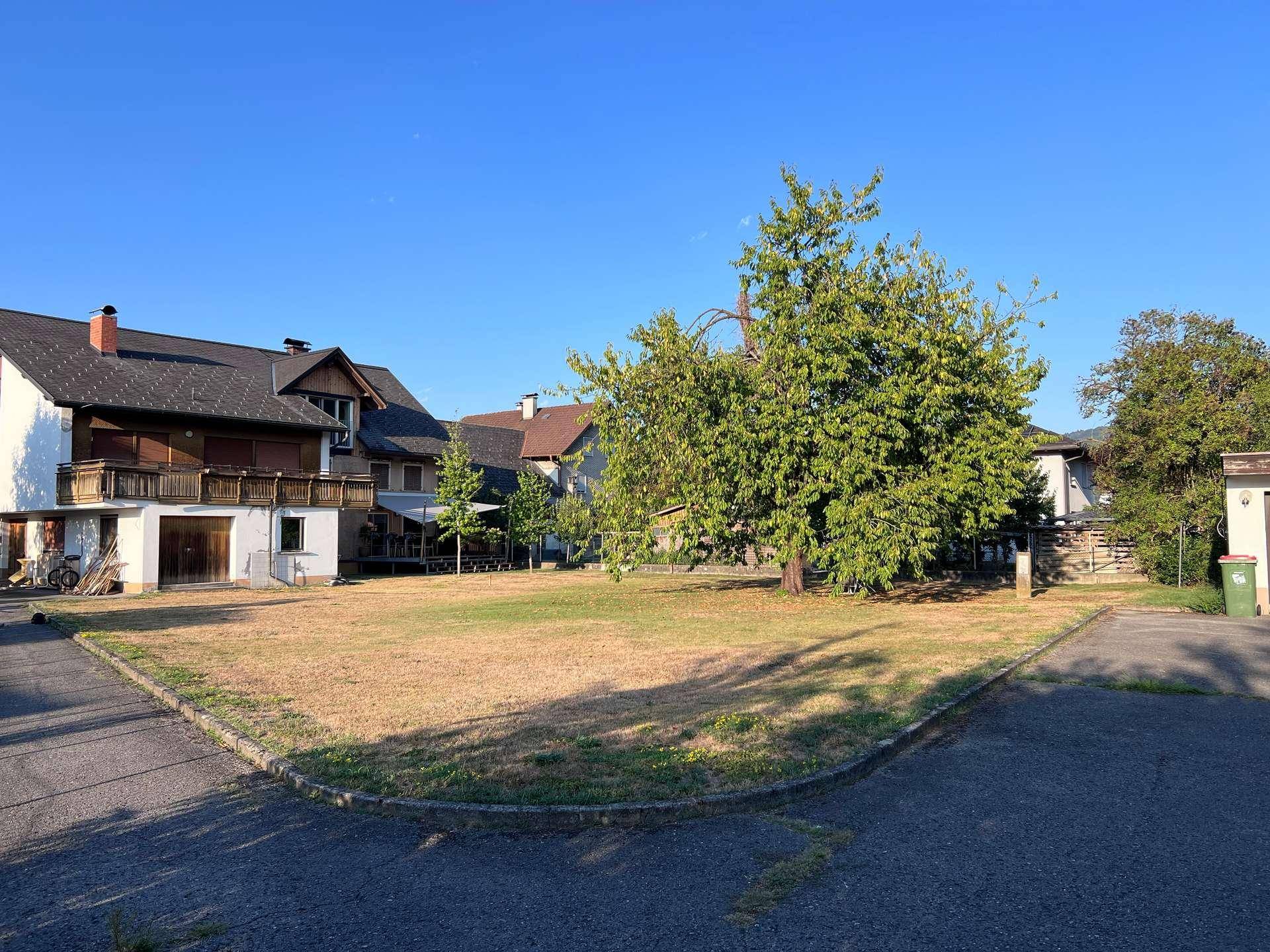 Großes, sonniges Grundstück mit Rasenfläche und einem Baum, umgeben von Wohnhäusern in ländlicher Umgebung.