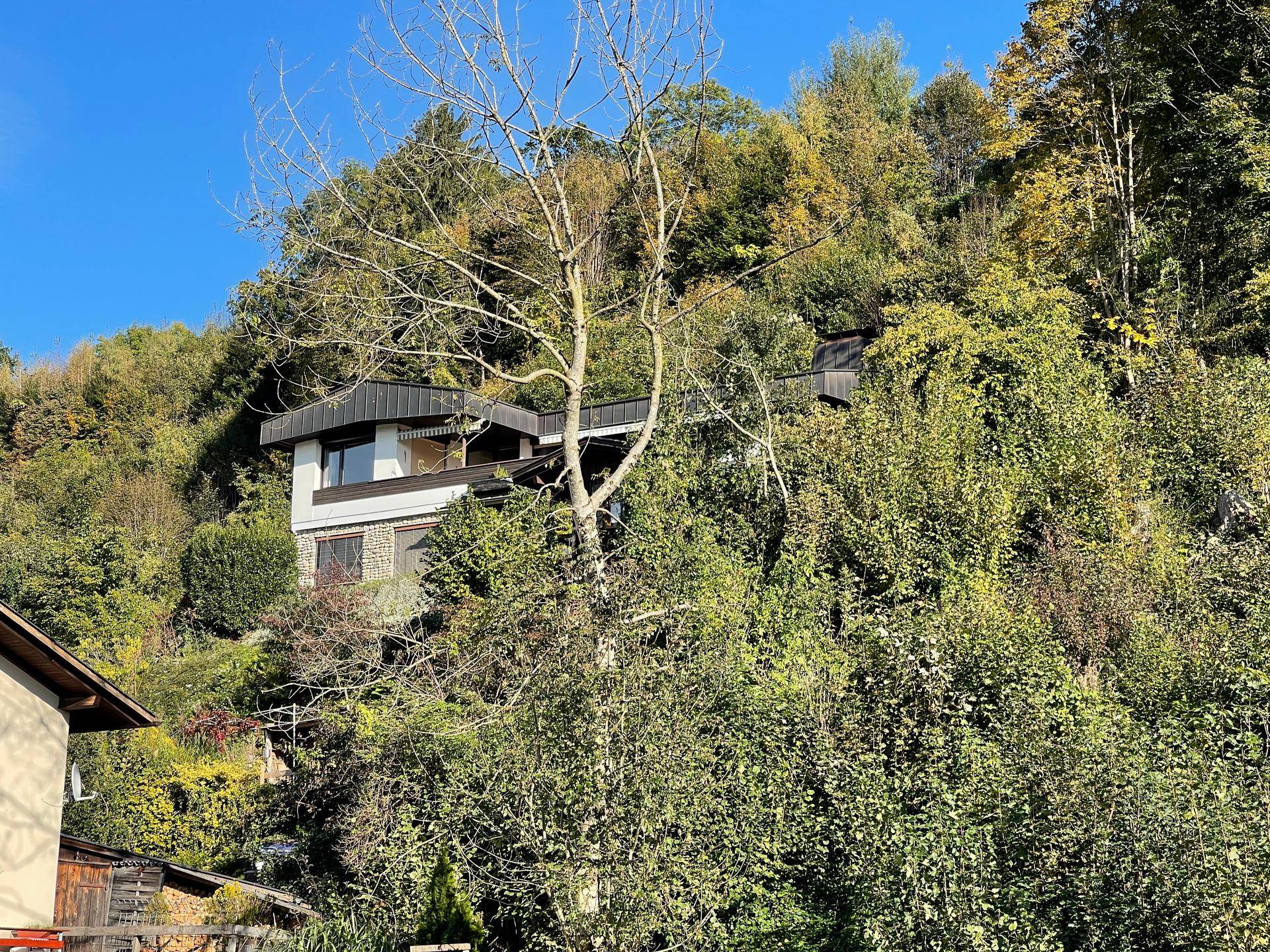 Außenansicht des Hauses, teilweise von Bäumen und dichter Vegetation verdeckt.