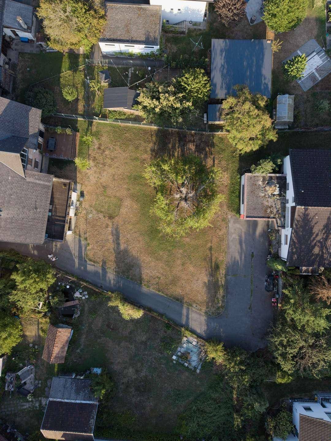 Luftaufnahme eines unbebauten Grundstücks mit einem Baum in der Mitte, umgeben von weiteren Wohnhäusern.