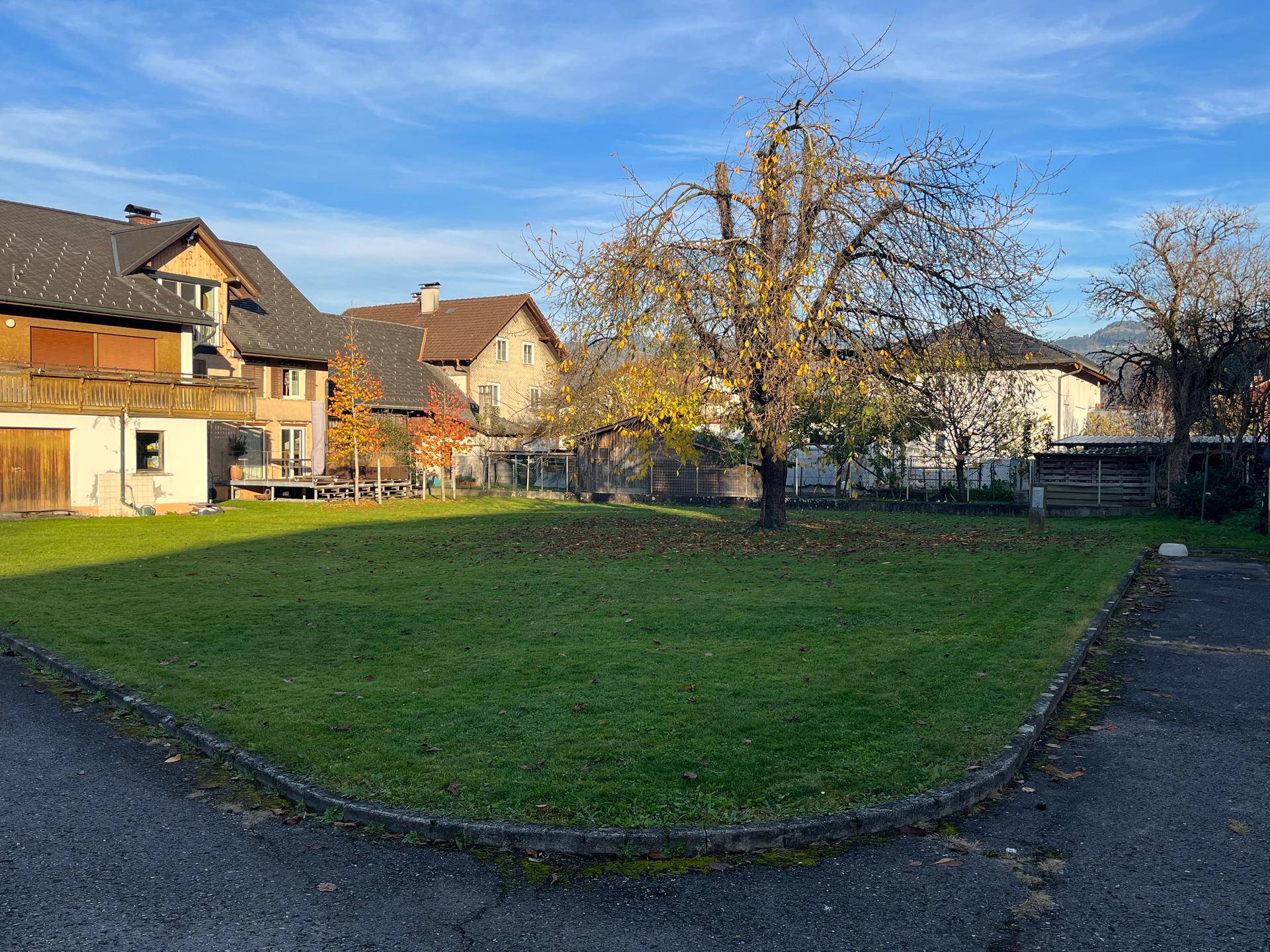 Weitläufige Grünfläche mit einem markanten Baum, umgeben von traditionellen Wohnhäusern.