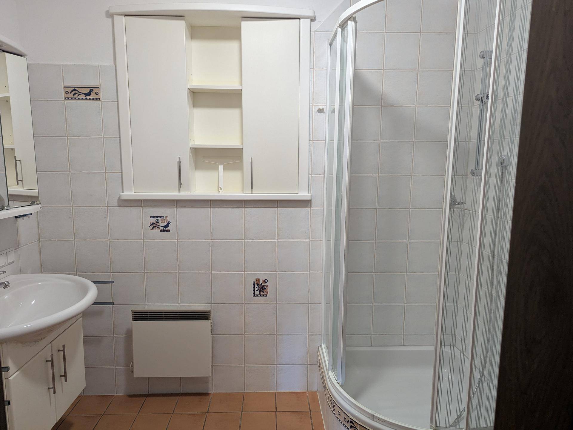 Badezimmer mit Duschkabine, Waschbecken und weißen Fliesen im traditionellen Stil.