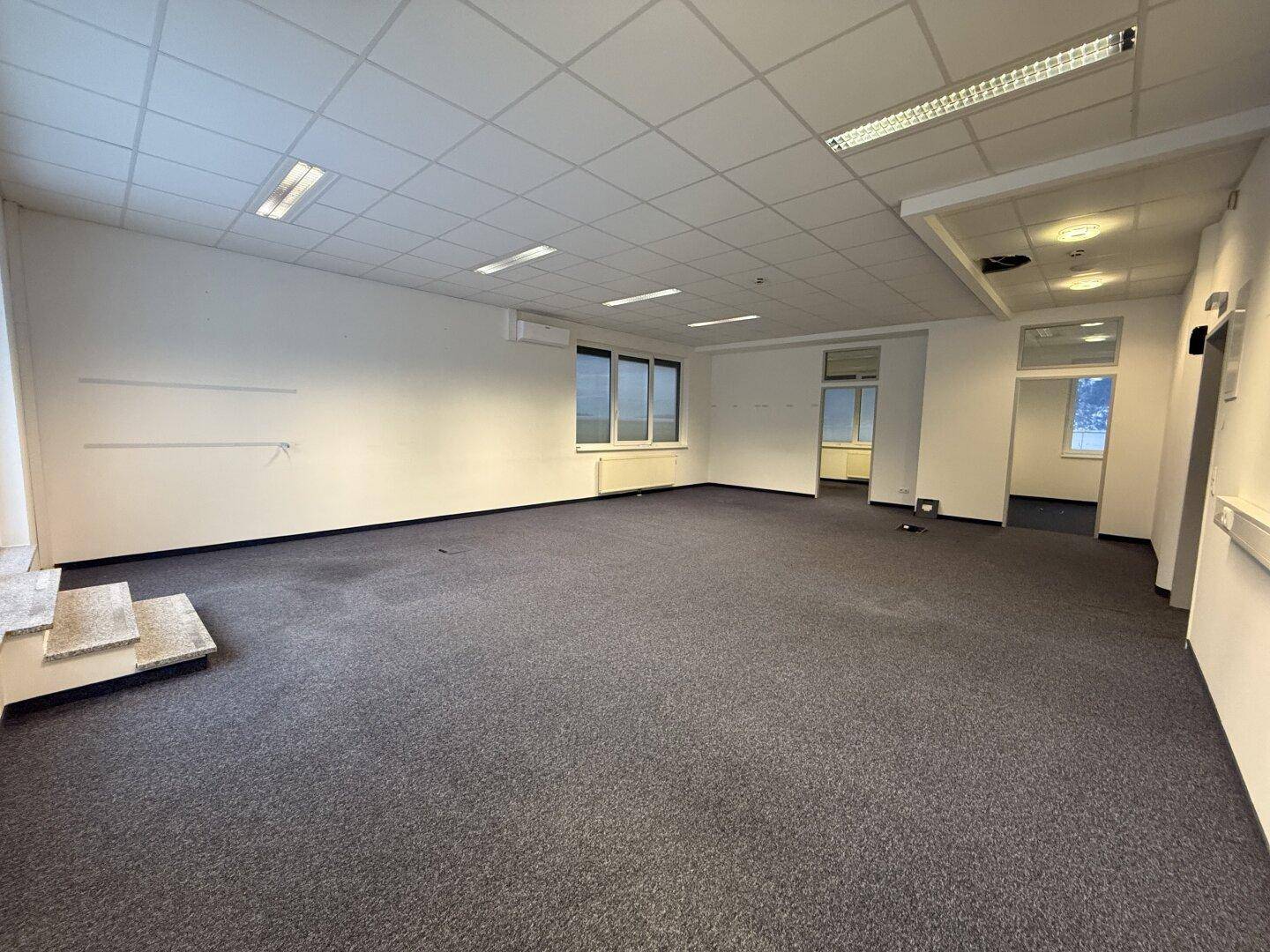Großes, leeres Büro mit Teppichboden, modularen Deckenplatten und mehreren Fenstern, bereit zur Einrichtung.