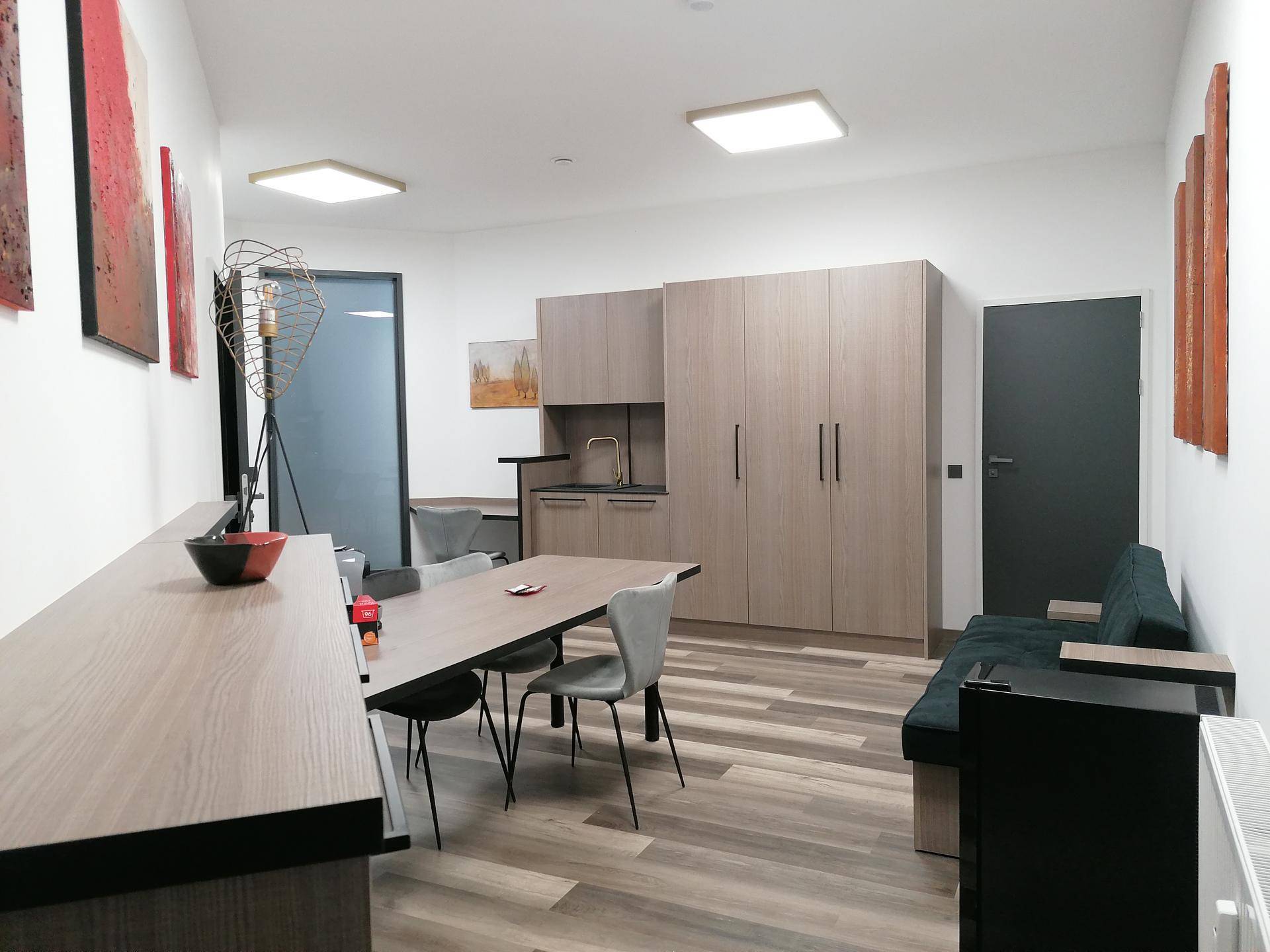 Vielseitiger Raum mit integrierter Küchenzeile, Sofa und modernem Arbeitsbereich.