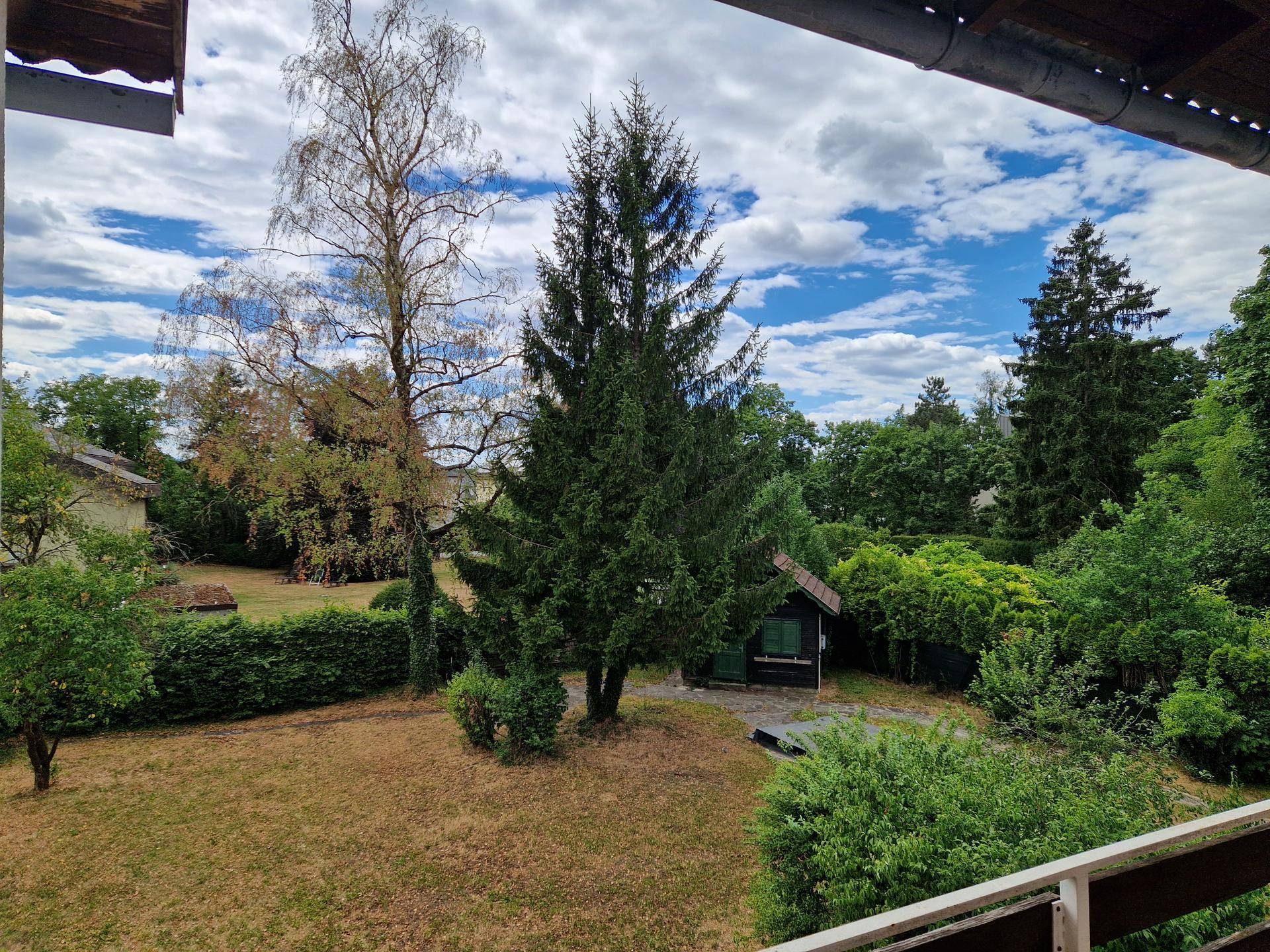 Weitläufiger Garten mit hohen Bäumen, Sträuchern und einem kleinen Gartenhaus.