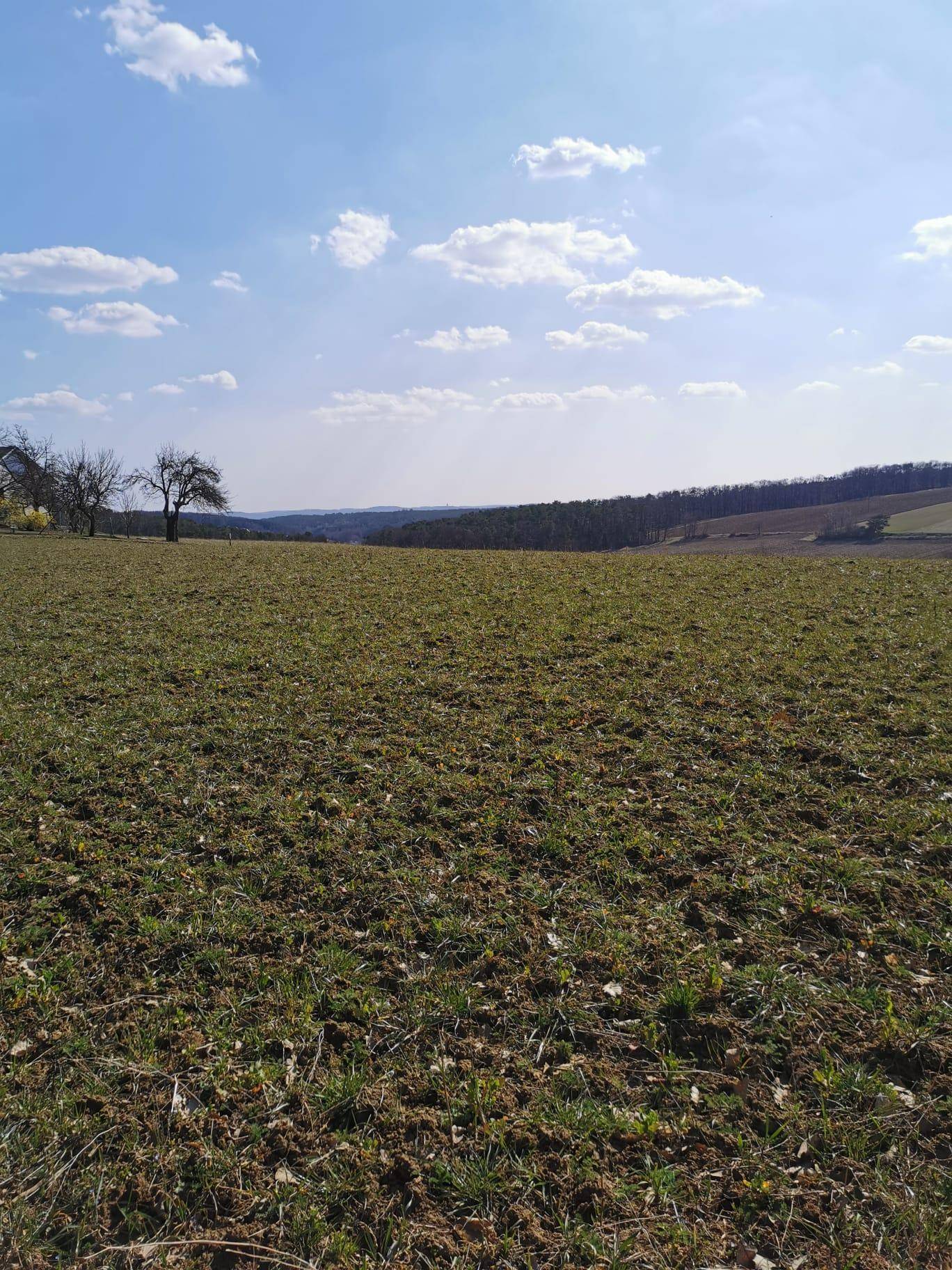 Weites Feld mit spärlicher Vegetation und Blick auf die hügelige Landschaft unter einem bewölkten Himmel.