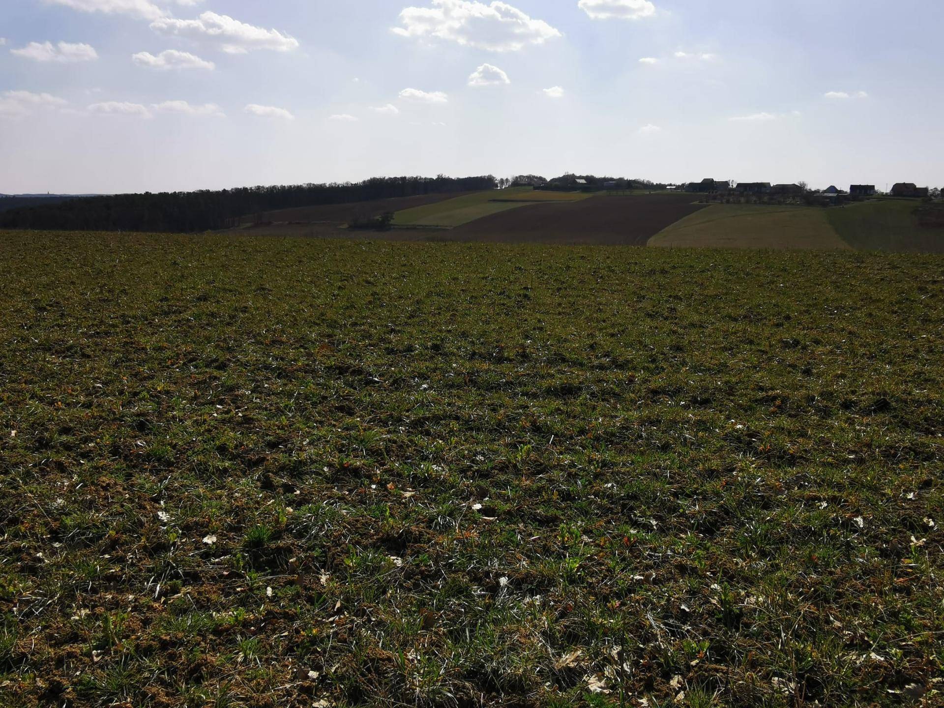 Ackerland mit grünen und braunen Flächen, im Hintergrund sind weitere Felder und Häuser sichtbar.