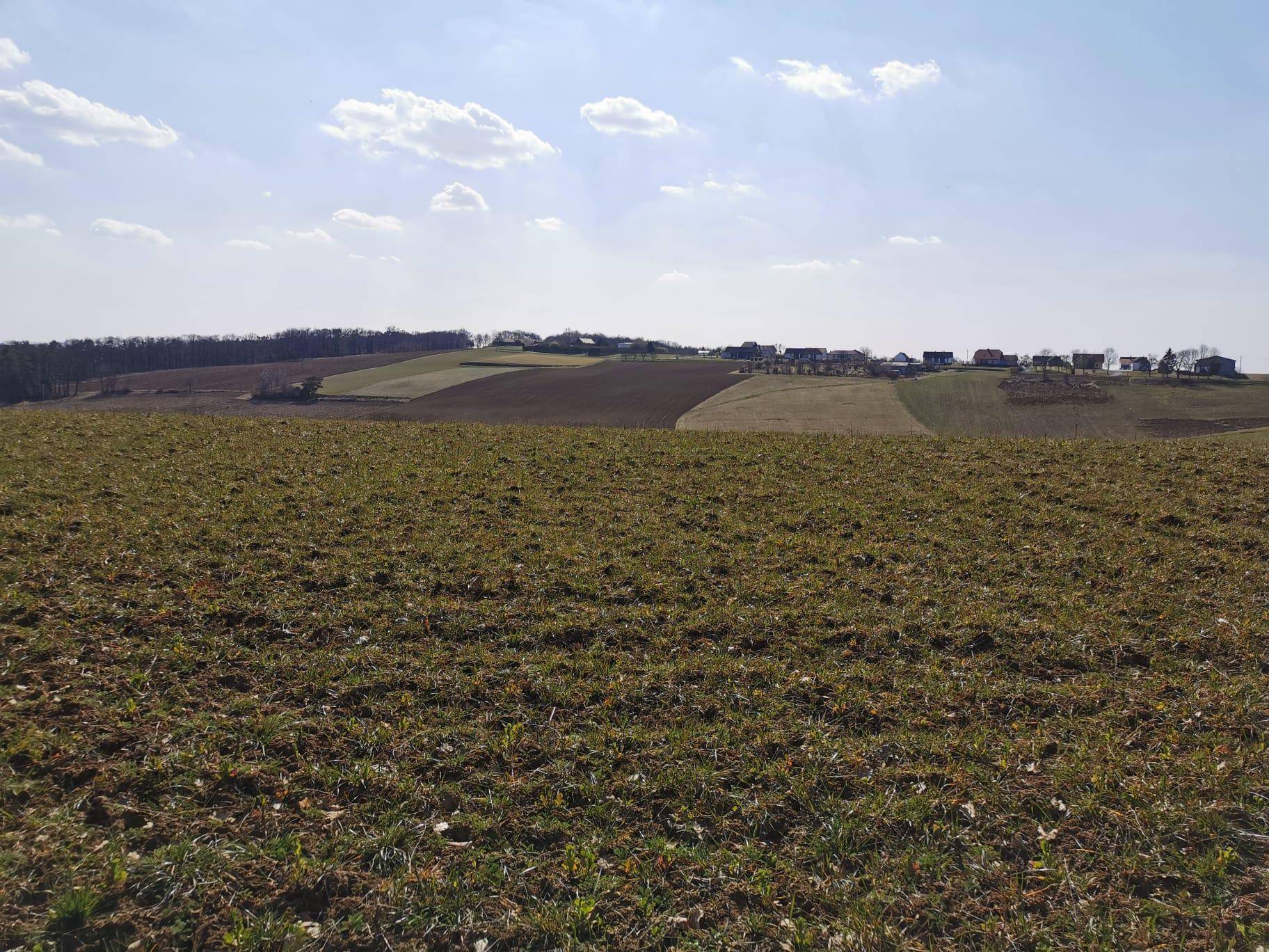 Weitläufiges Feld mit Blick auf die sanften Hügel und eine Ansammlung von Häusern in der Ferne.
