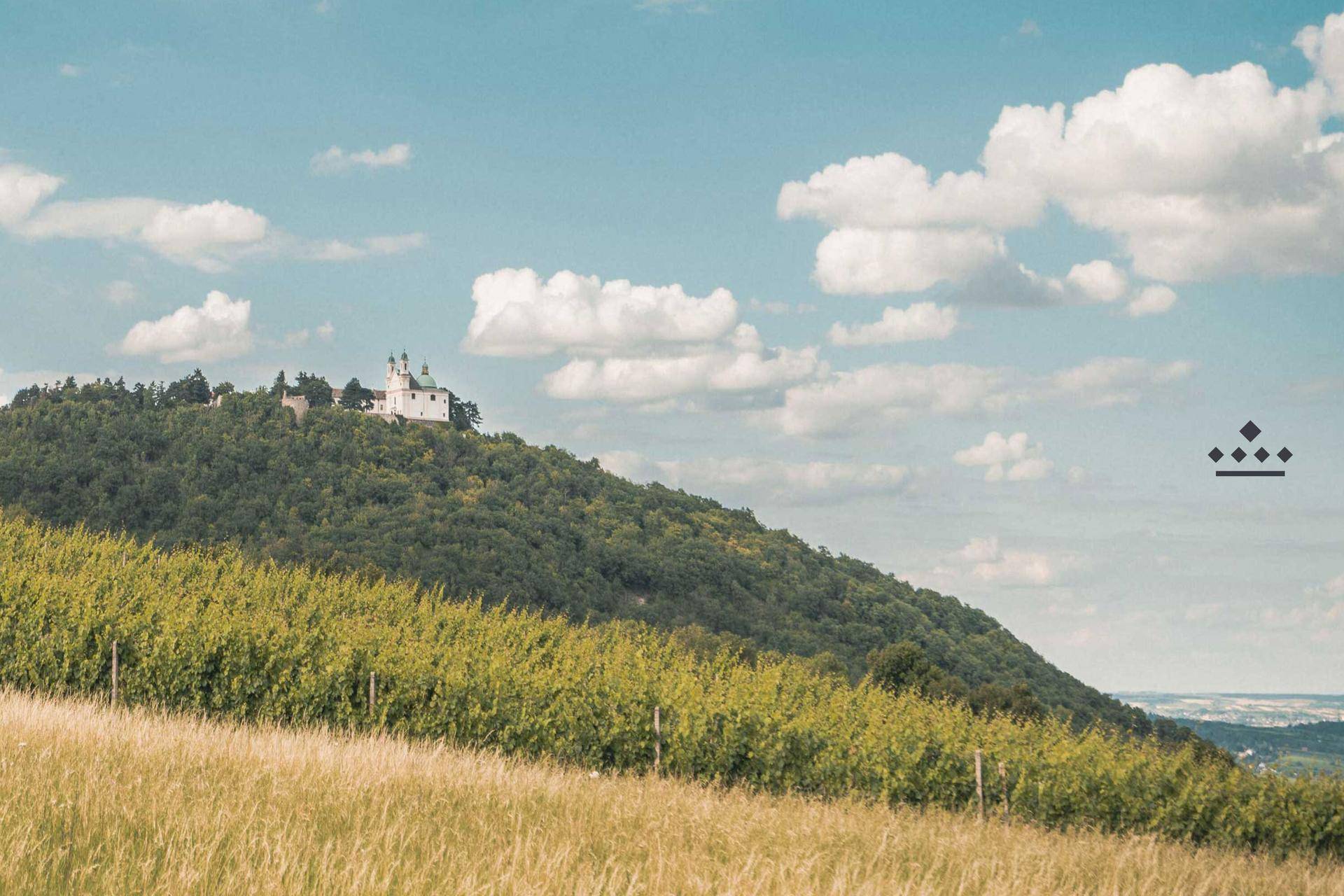 Malerische Landschaft mit Weinbergen, bewaldetem Hügel und einem historischen Gebäude auf dem Gipfel.