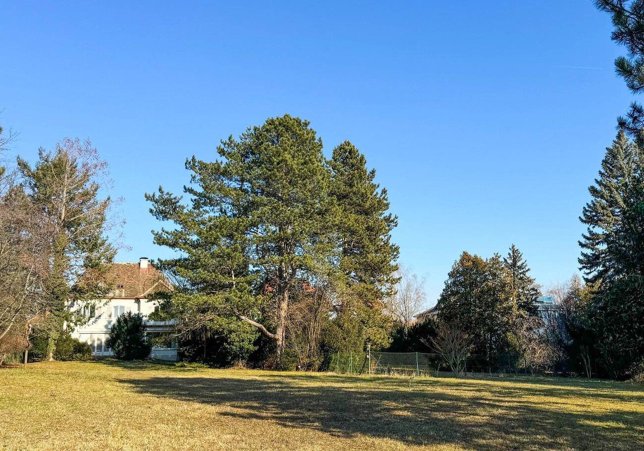 Weitläufige Grünfläche mit hohen Bäumen und Blick auf das Anwesen im Hintergrund unter blauem Himmel.