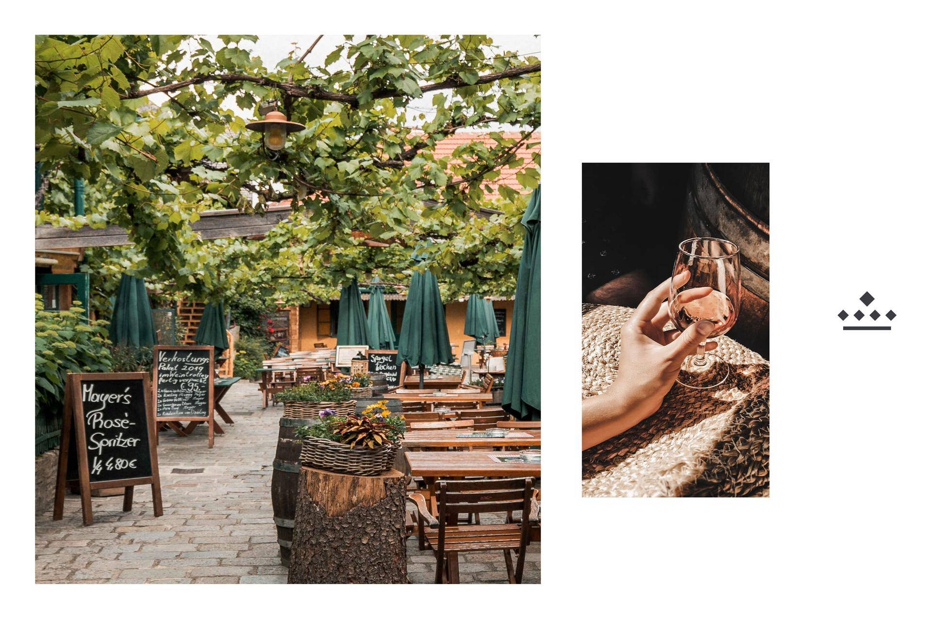 Das_Severin_Mayer_grau