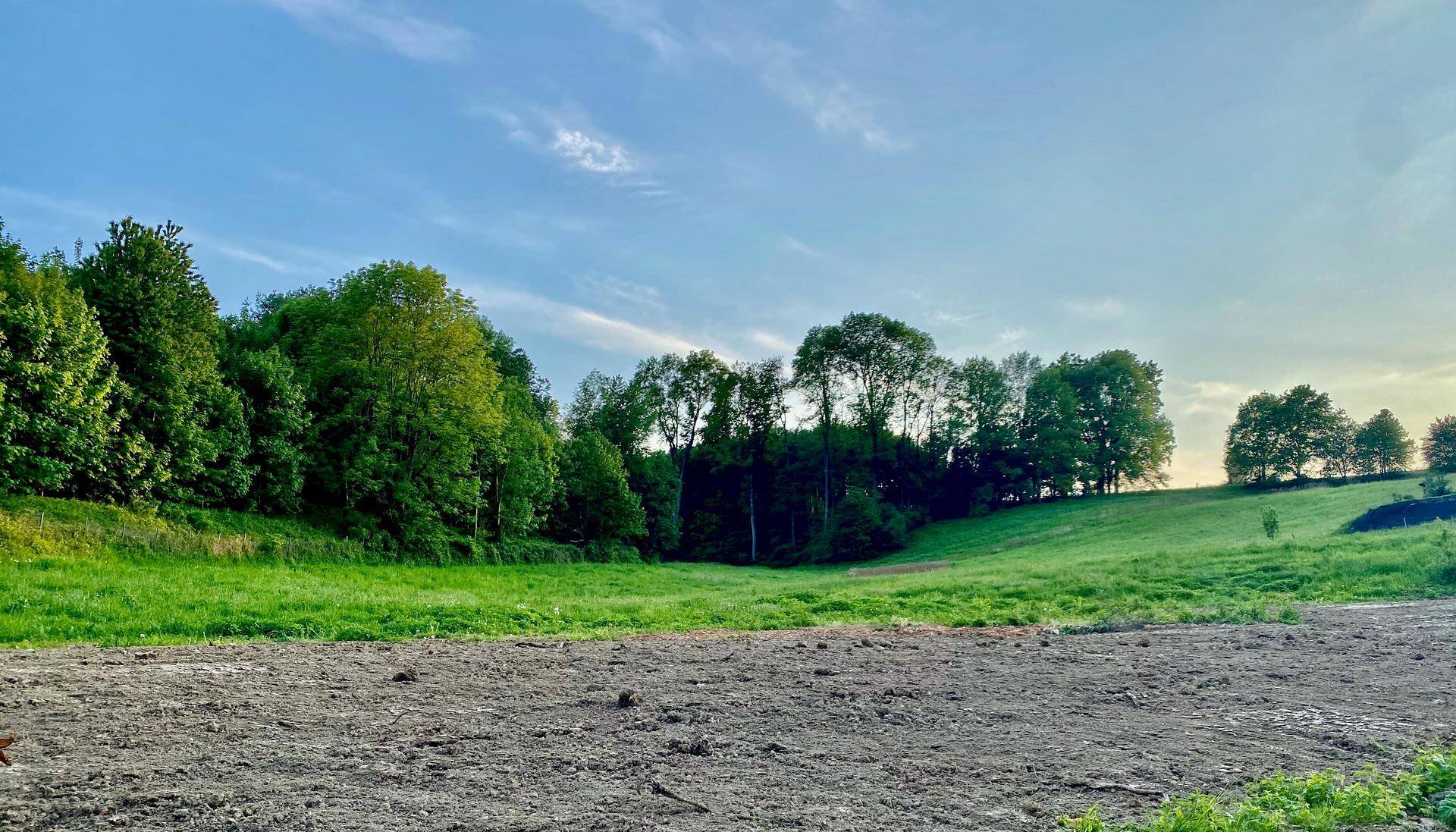 HERRLICHE RUHELAGE MIT UNVERBAUBAREM BLICK INS GRÜNE! - Ansicht 2