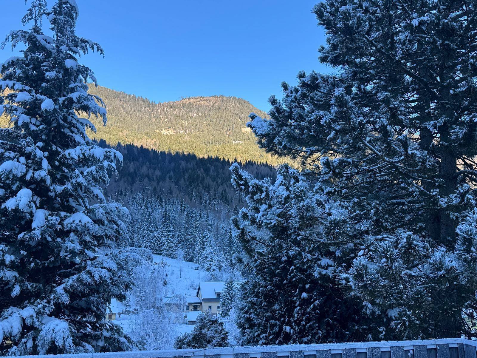 Winterlandschaft mit schneebedeckten Bäumen und Bergen unter einem klaren blauen Himmel.