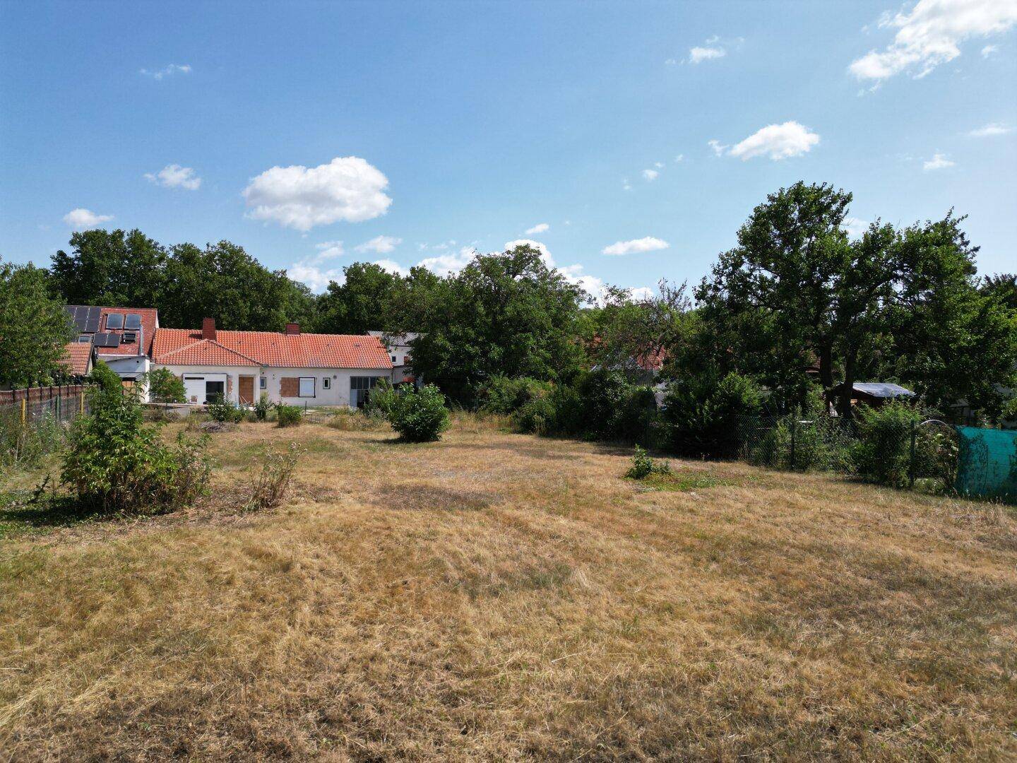 Großes, sonniges Grundstück mit trockenem Gras und Blick auf benachbarte Wohnhäuser.