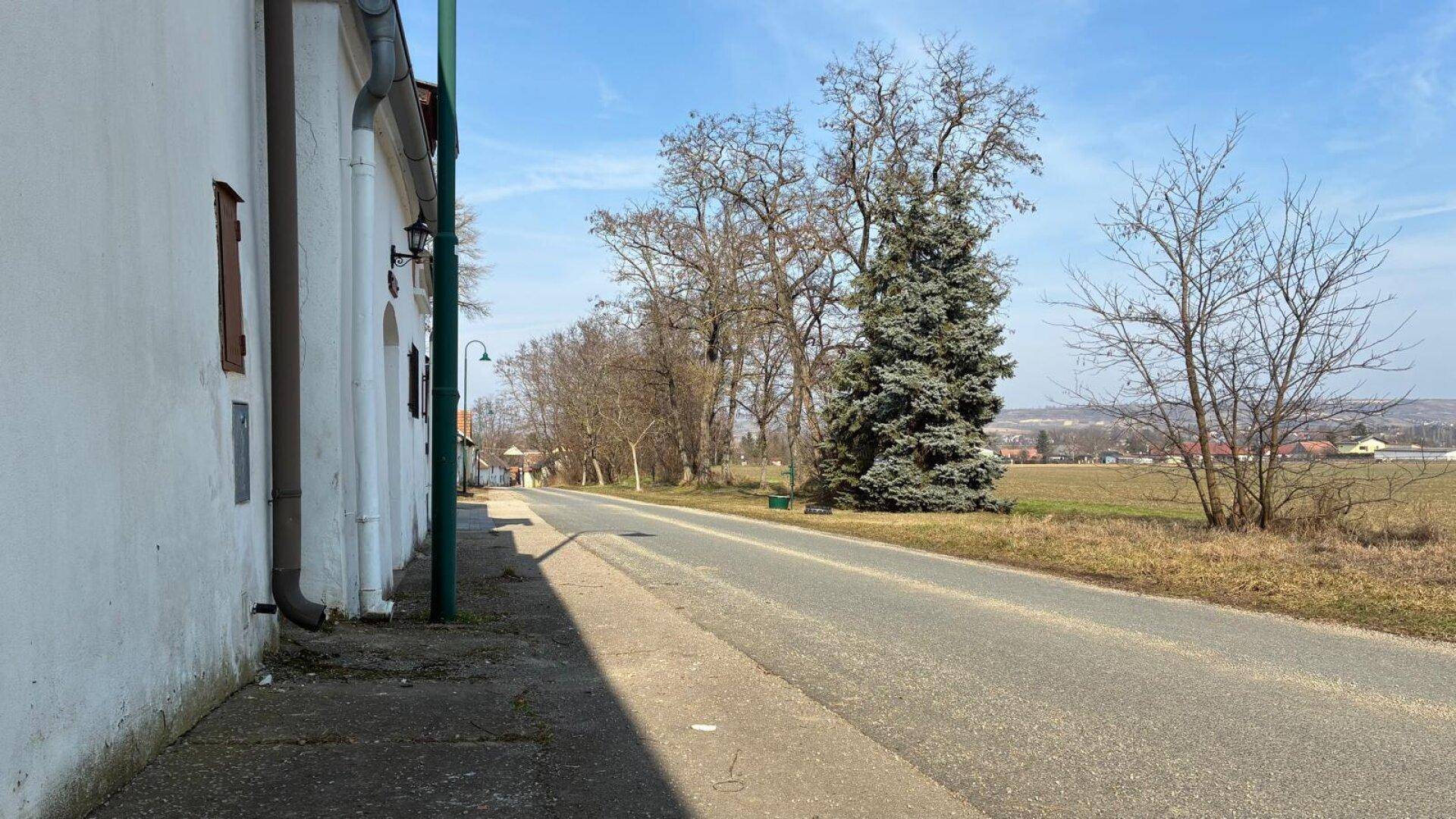 Ländliche Straße mit weißer Hauswand, Bäumen und weiten Feldern unter blauem Himmel.