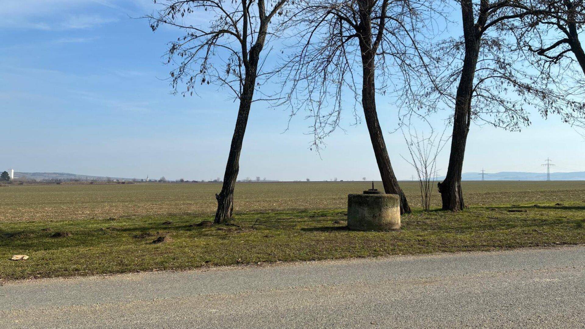 Ländliche Szene mit kahlen Bäumen, weitem Feld und einem Betonbrunnen unter blauem Himmel.