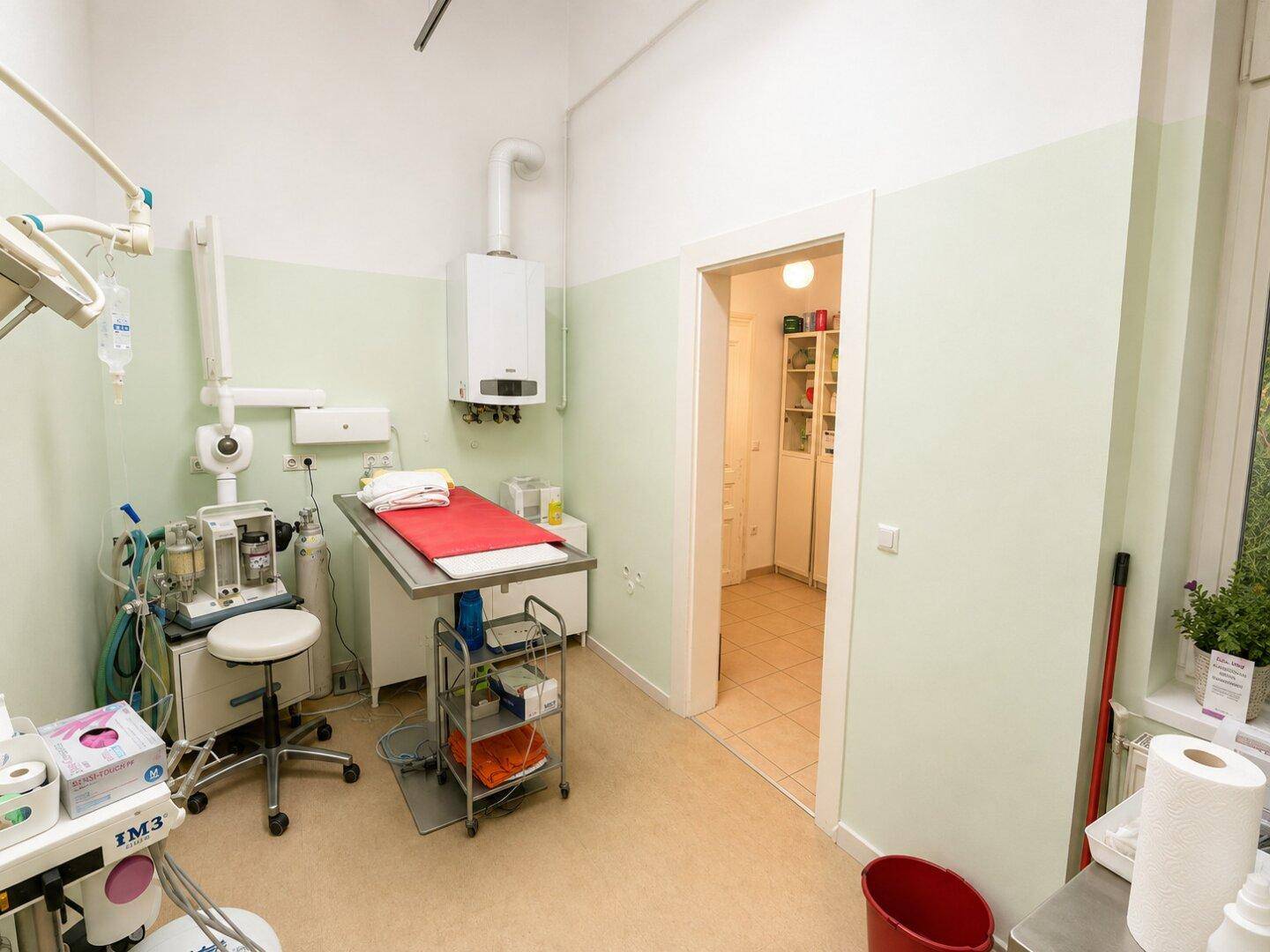 Behandlungsraum mit medizinischer Ausstattung, hellgrünen Wänden und Fenster.